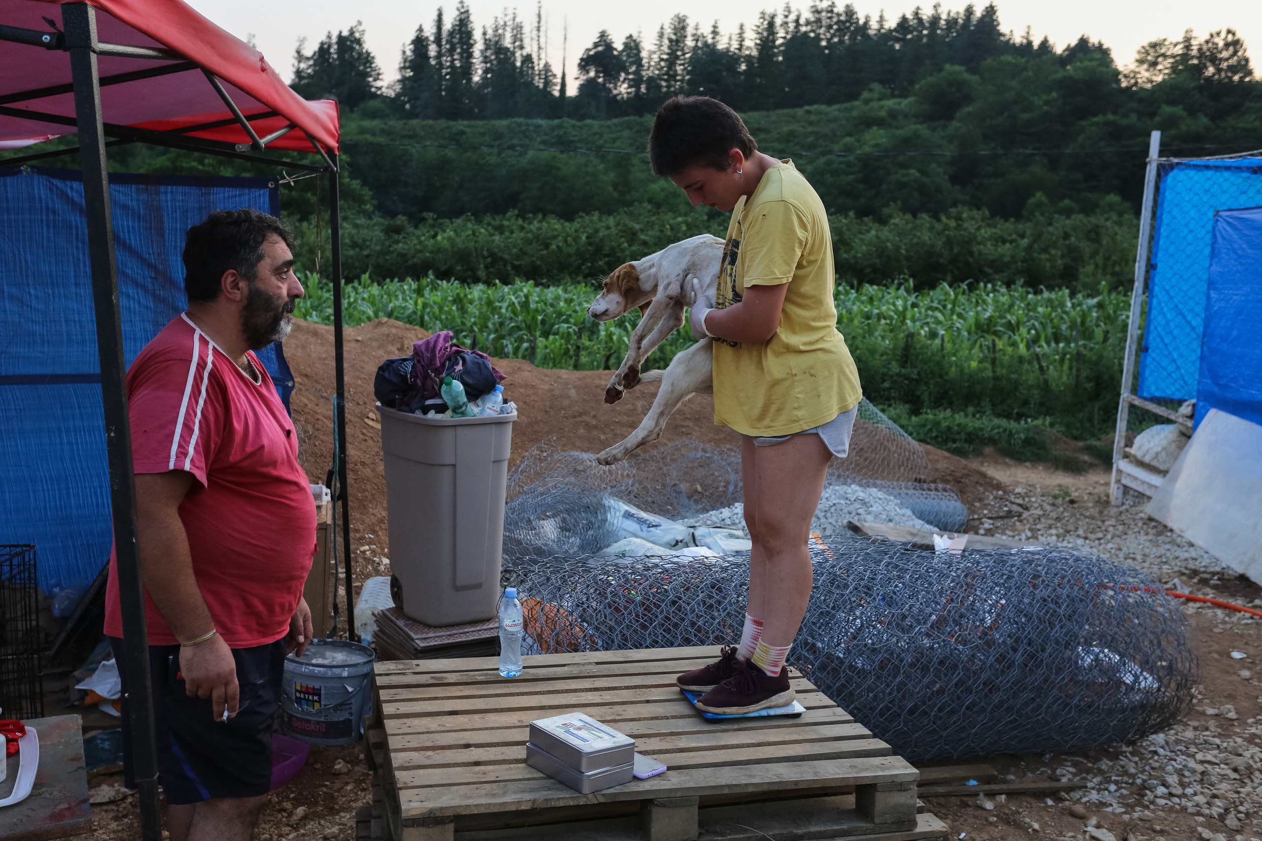 Ar Idardo. Marina Doctorova