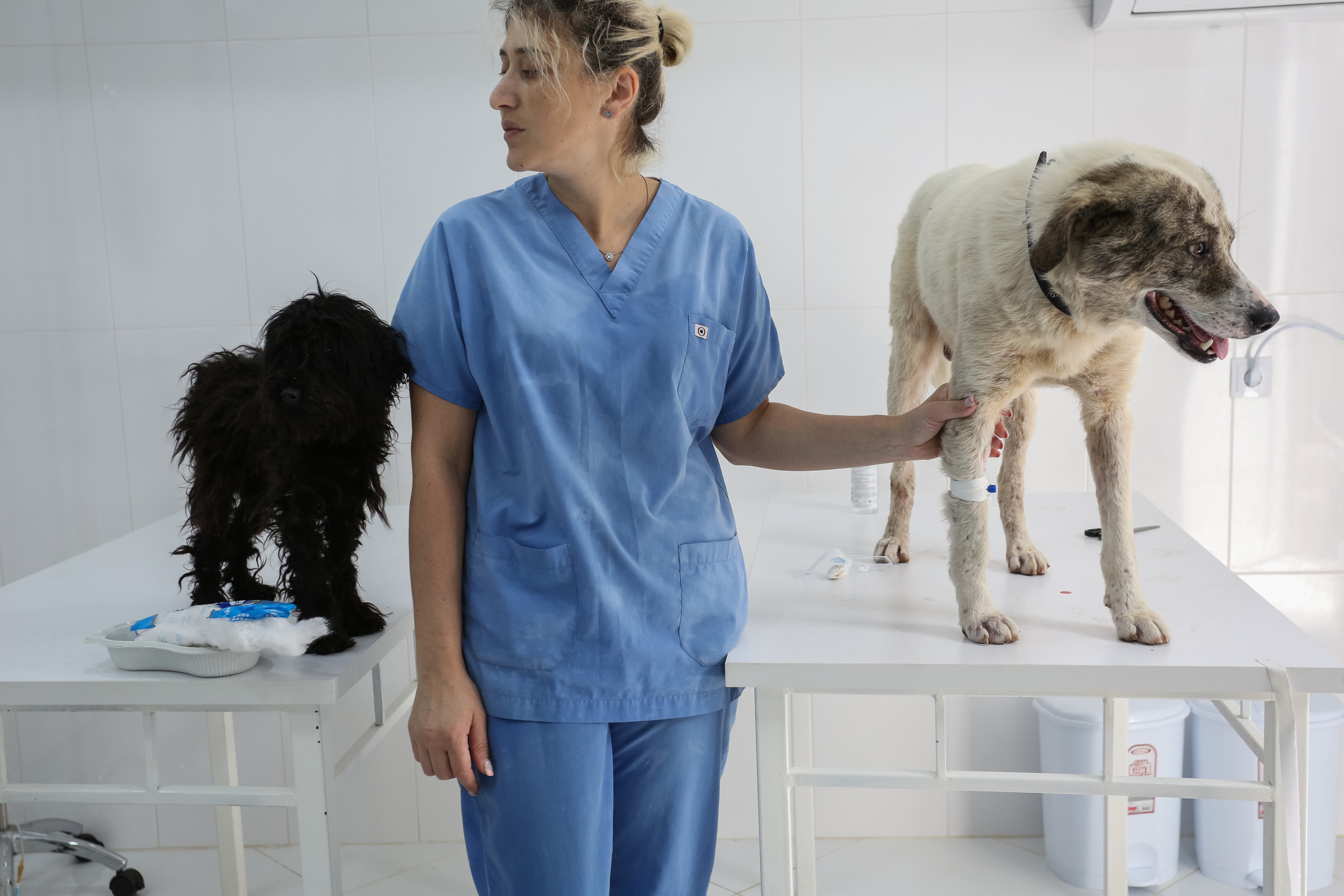 Ar Idardo. Marina Doctorova