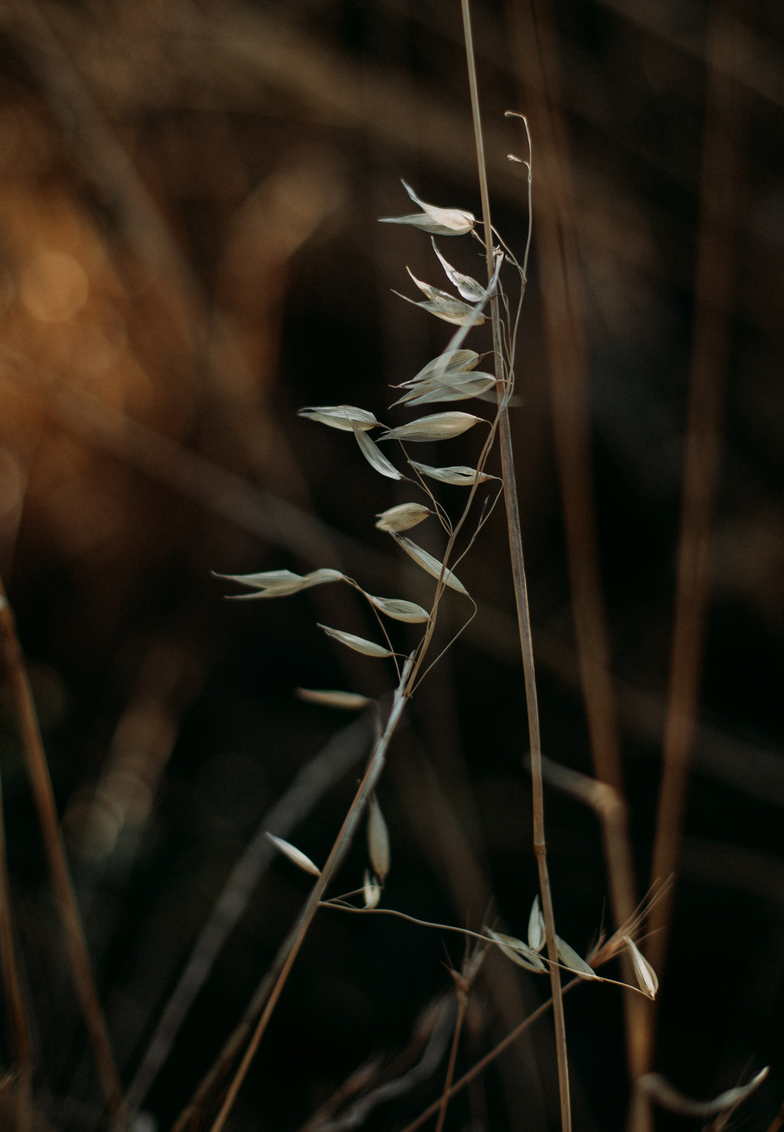 Дороги земли ветров. Портретный фотограф в Москве и Геленджике Кирилл Вахитов