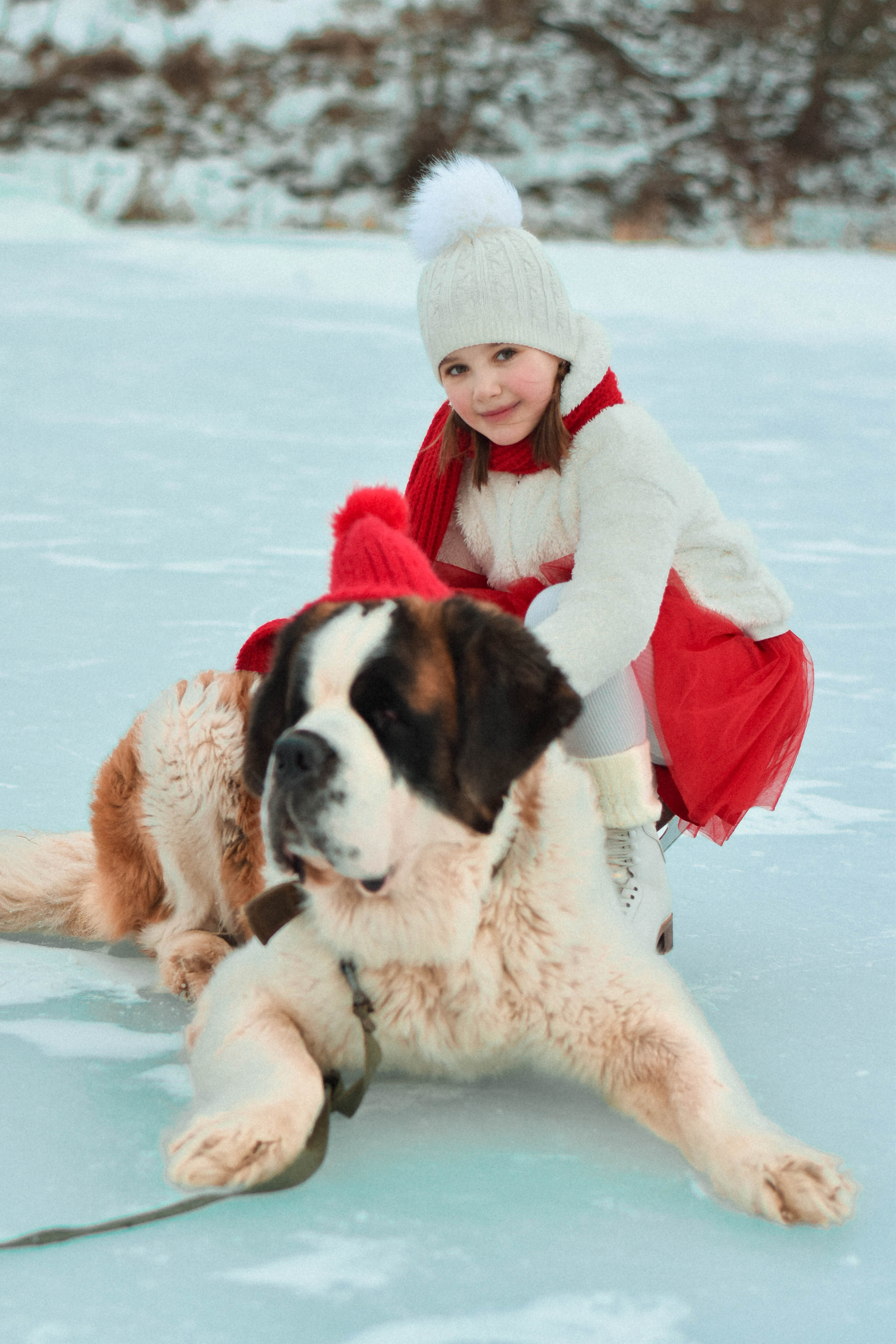 Яркая зима. Семейный фотограф Щёкино, Тула. От 5000р