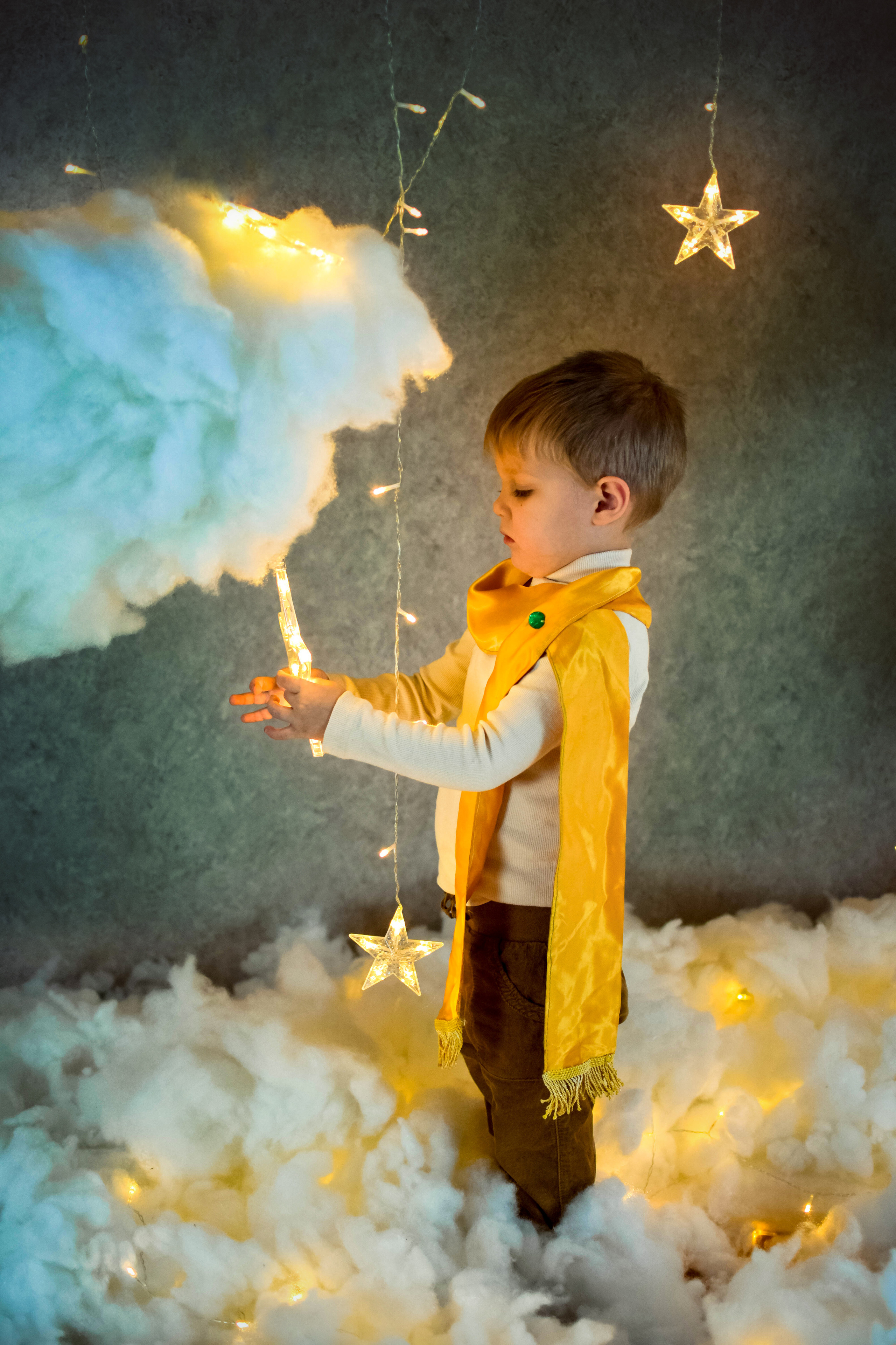 «Маленький принц». Семейный фотограф Щёкино, Тула. От 5000р