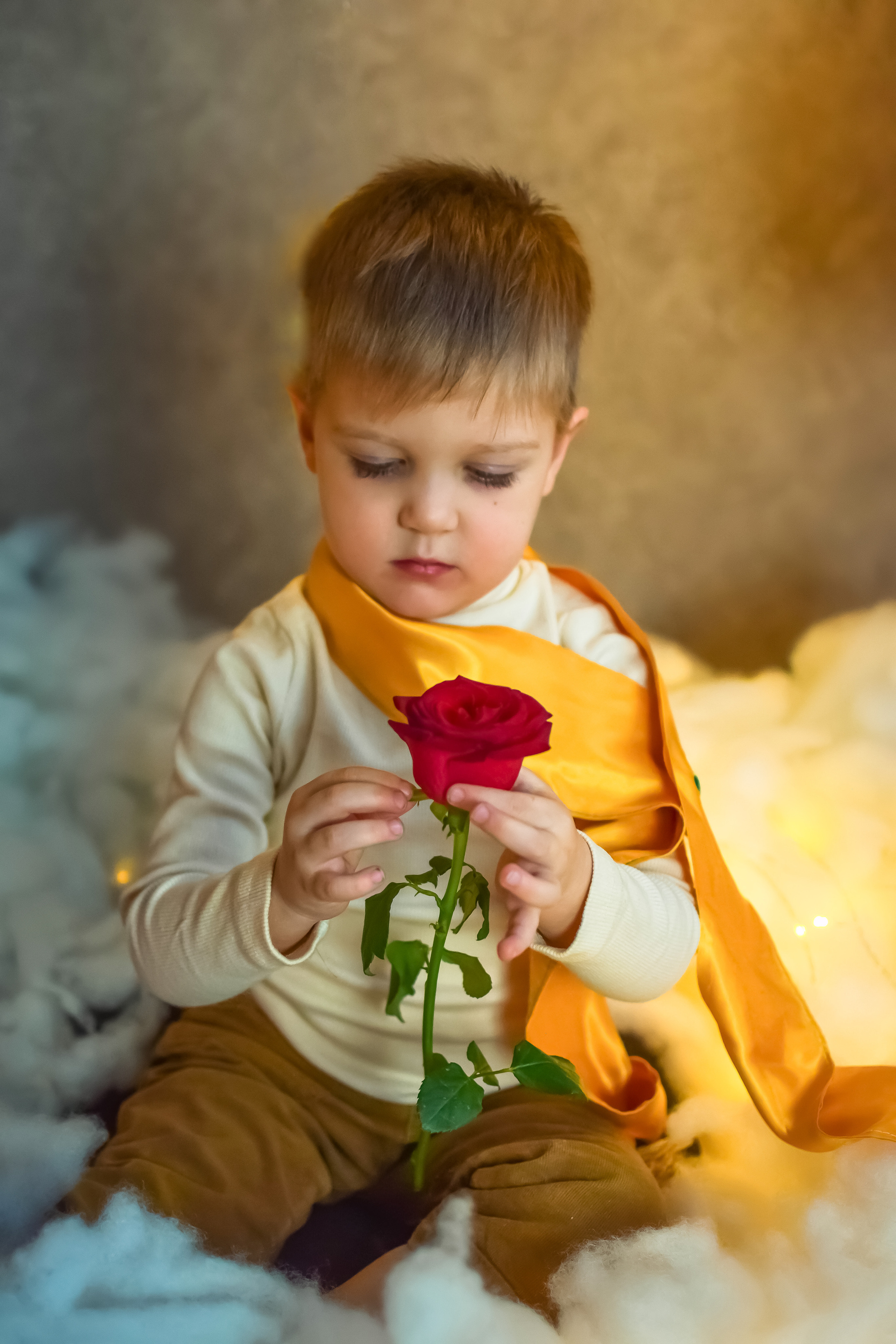 «Маленький принц». Семейный фотограф Щёкино, Тула. От 5000р