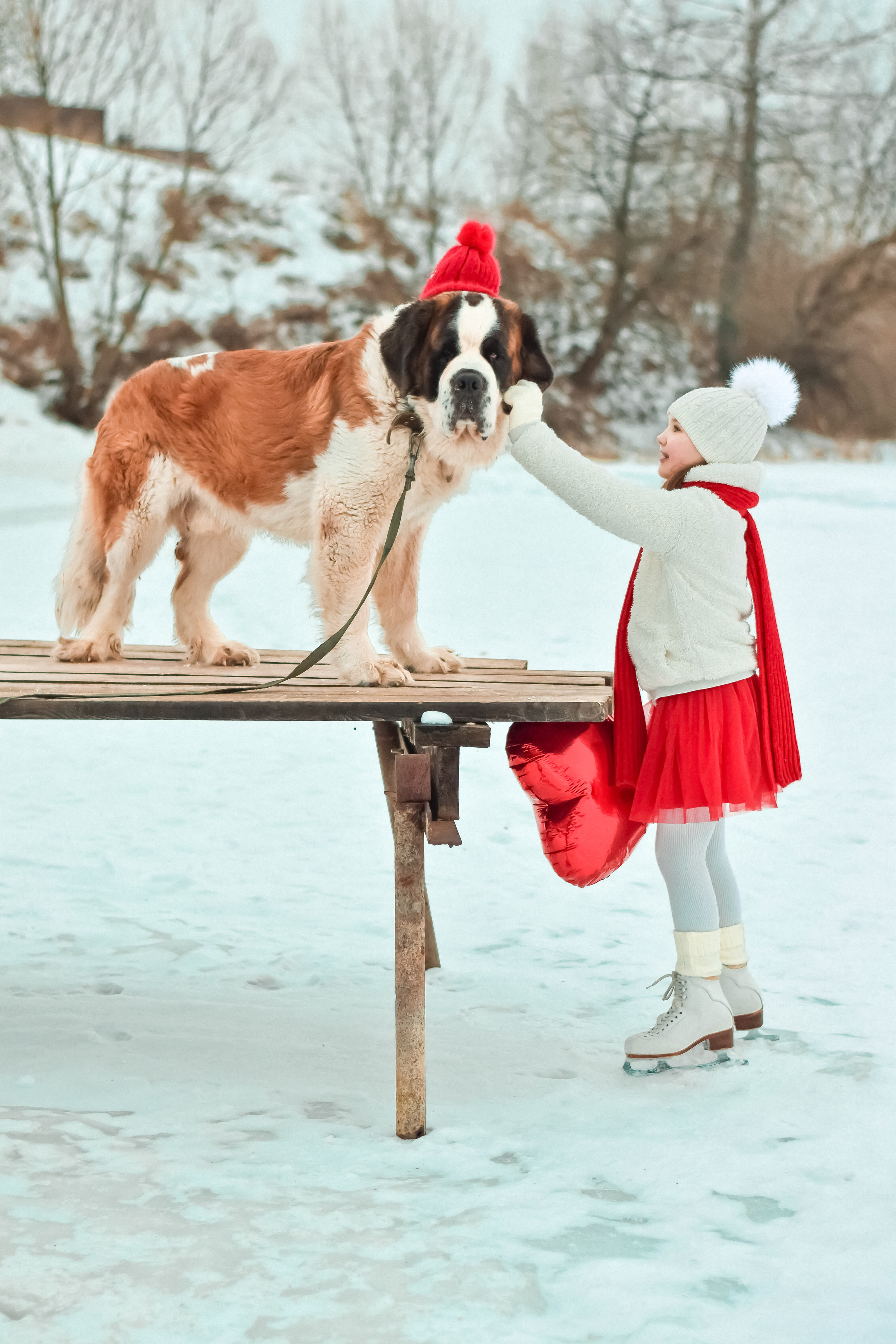 Яркая зима. Семейный фотограф Щёкино, Тула. От 5000р