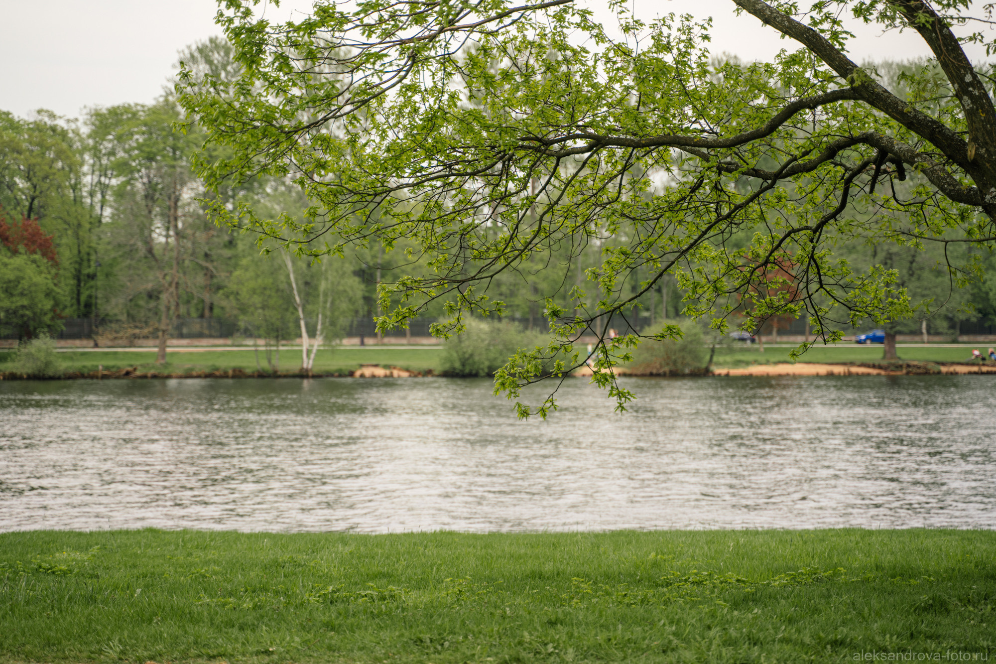 Парк на Елагином острове сегодня
