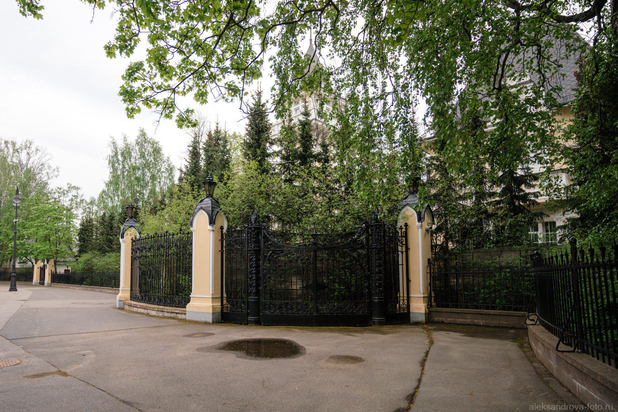 Сады и парки. Фотограф беременных в СПб — Елена Александрова