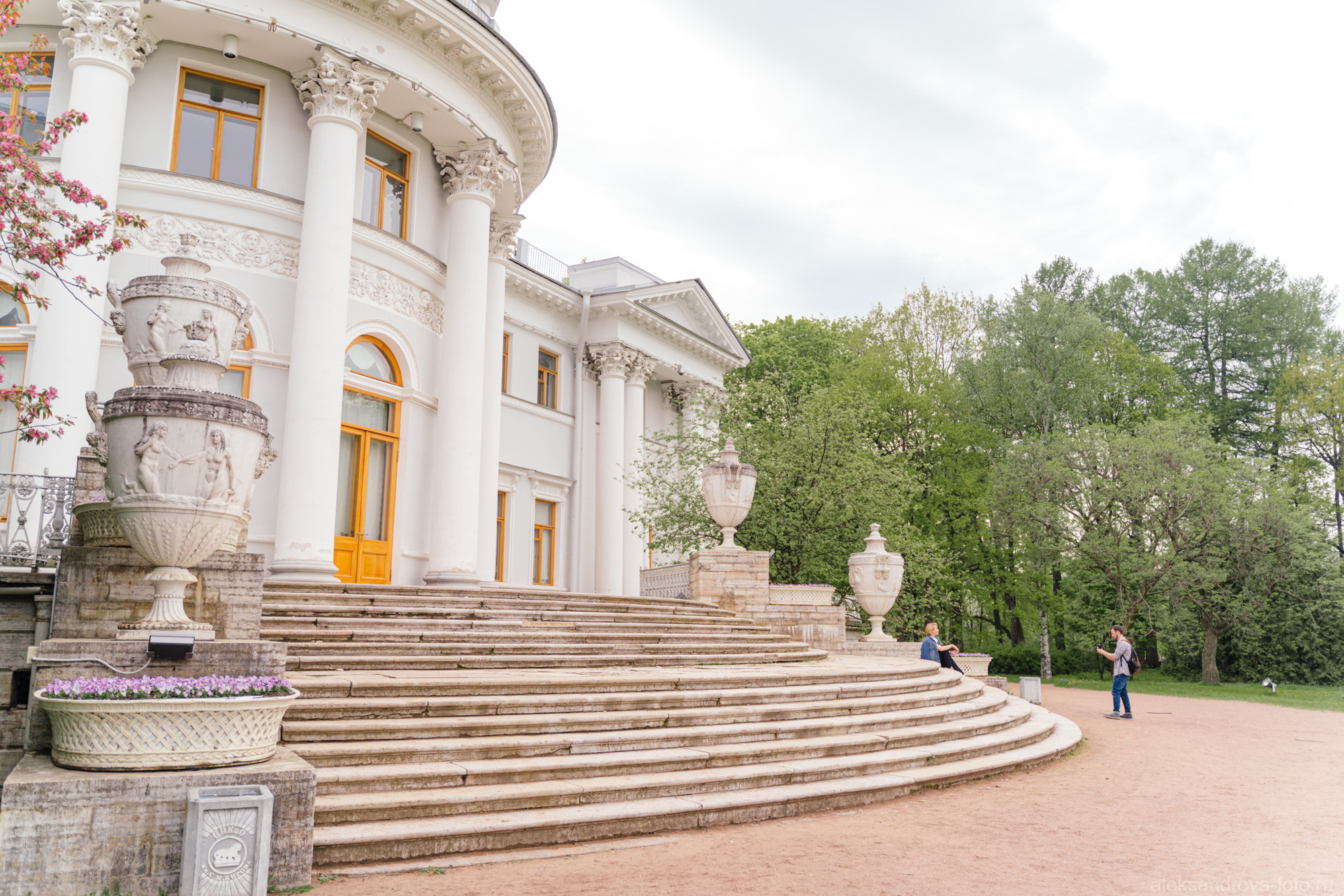 Лестница елагиноостровкого дворца