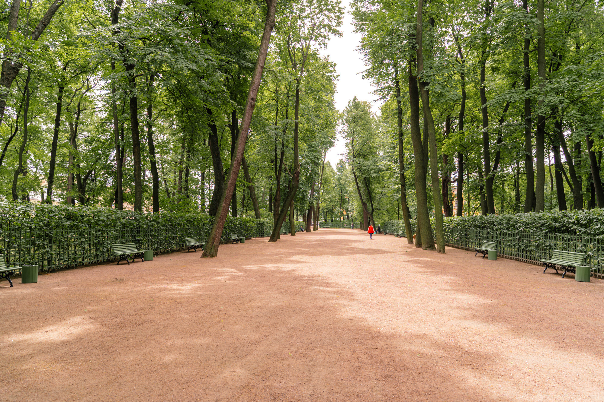 Летний Сад в Санкт-Петербурге