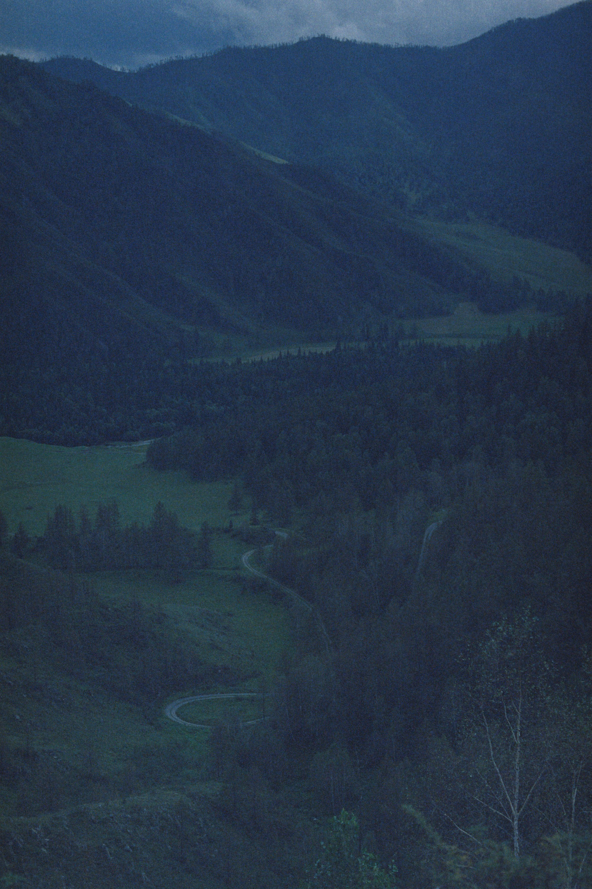 Altai \ august 2022 \ film. Коммерческий Фотограф Виктор Фоменых
