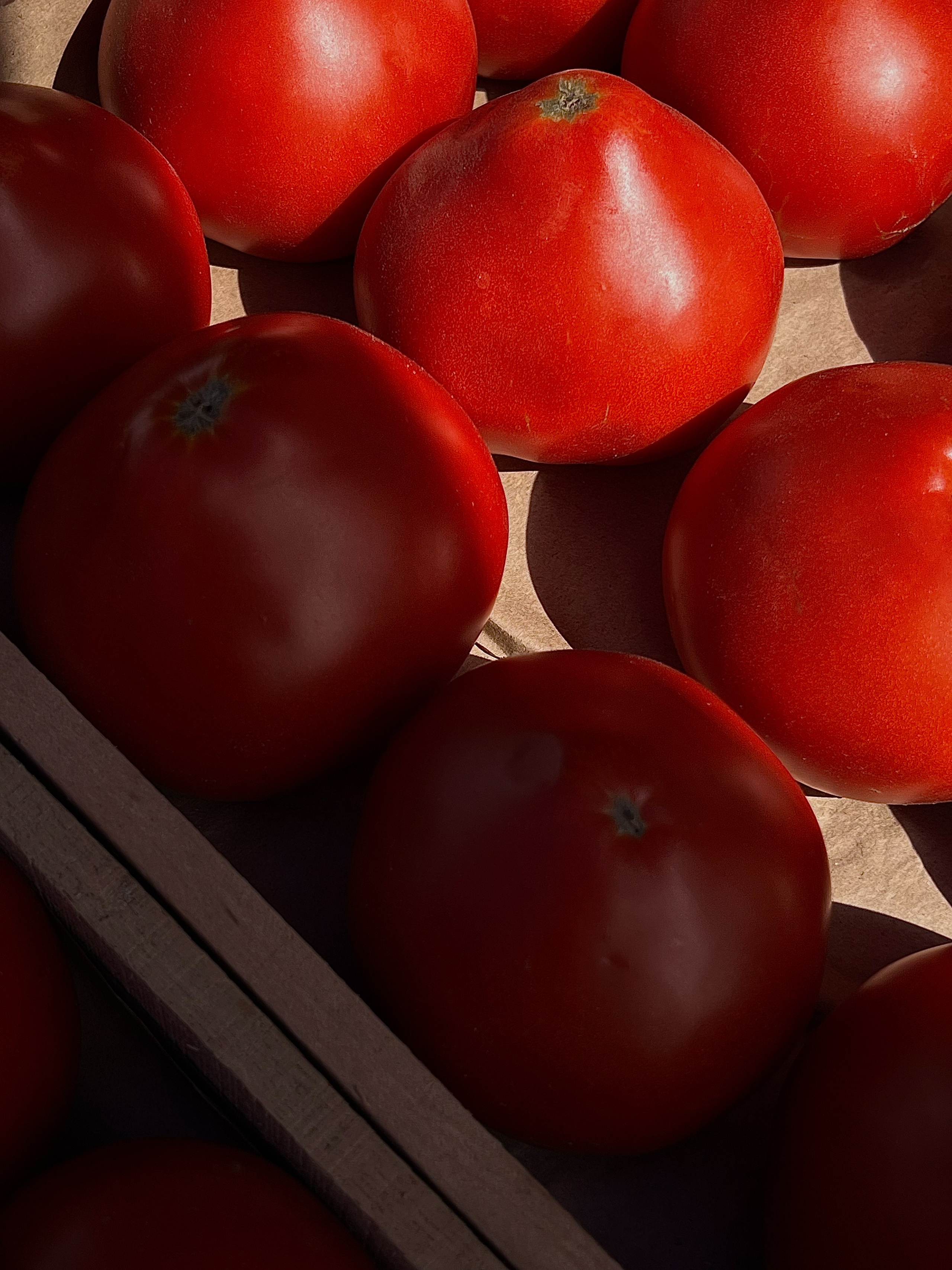 МАРАФОН ФОКУС НА ПРЕКРАСНОМ. Фотограф Анастасия Дмитриева