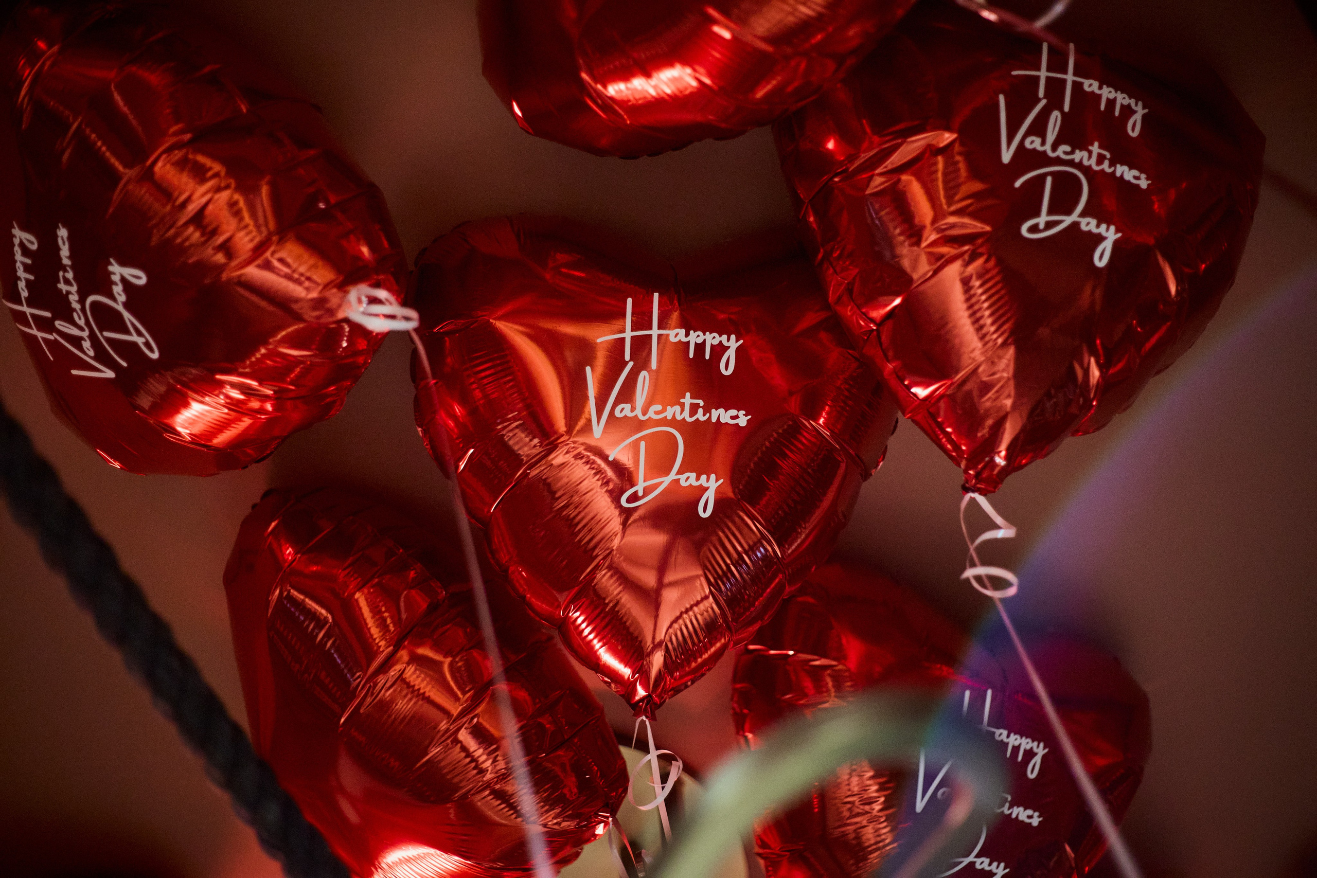 AMUR — Happy Valentine`s Day. СВОИ. ФОТООТЧЕТЫ-СОБЫТИЯ-МЕСТА