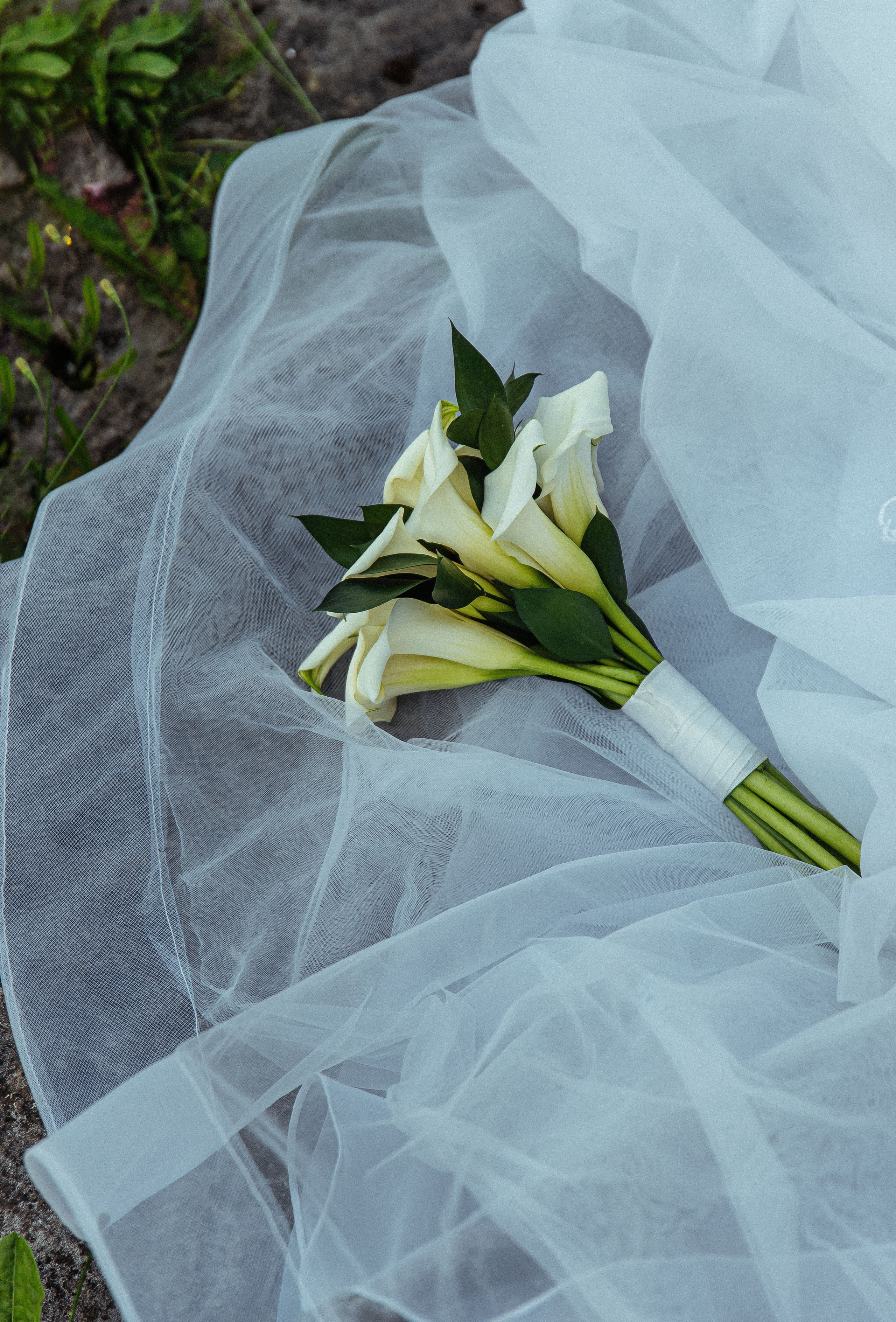 Макс и Катя. Свадебный и портретный фотограф lifestyle