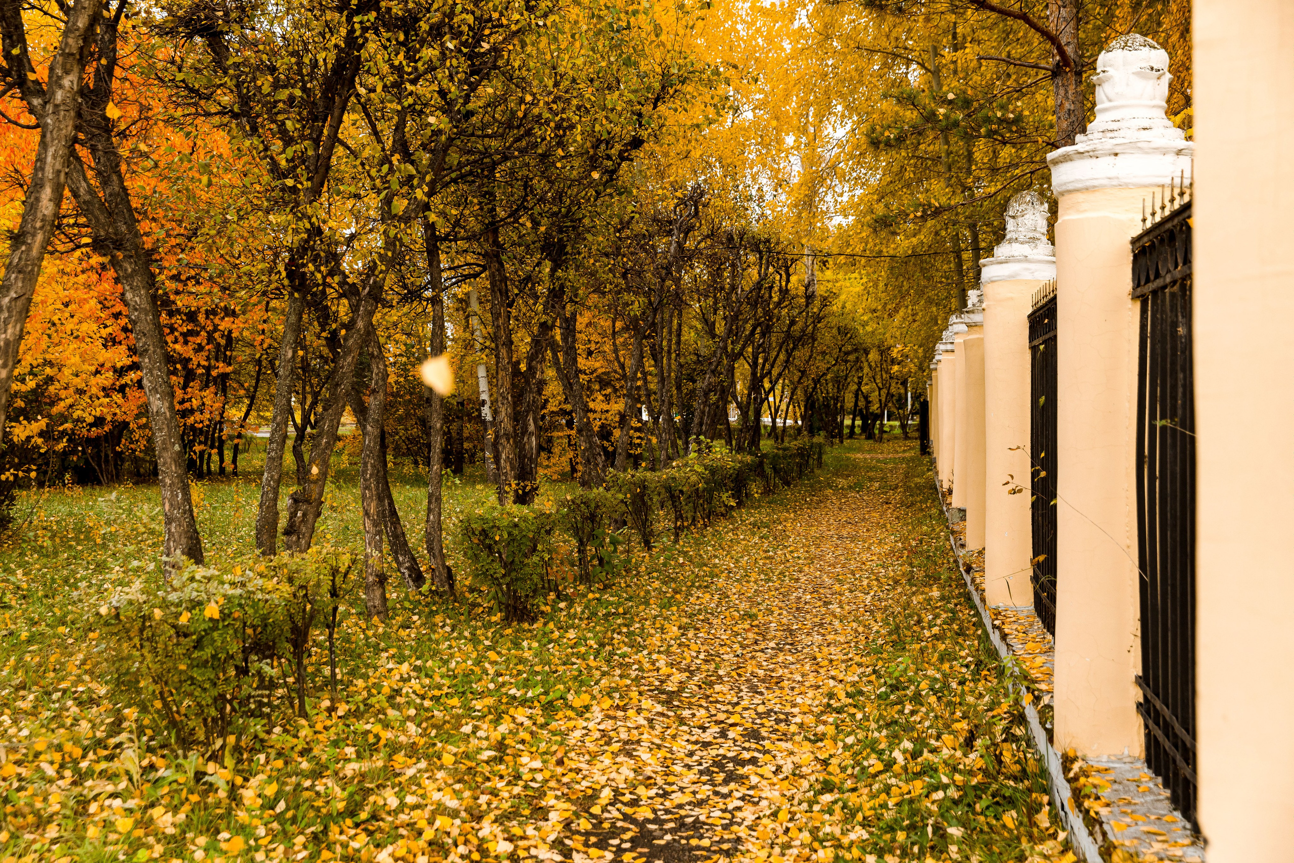 Осень в парке. Семейный и детский фотограф в Железногорске Саламахо Ольга