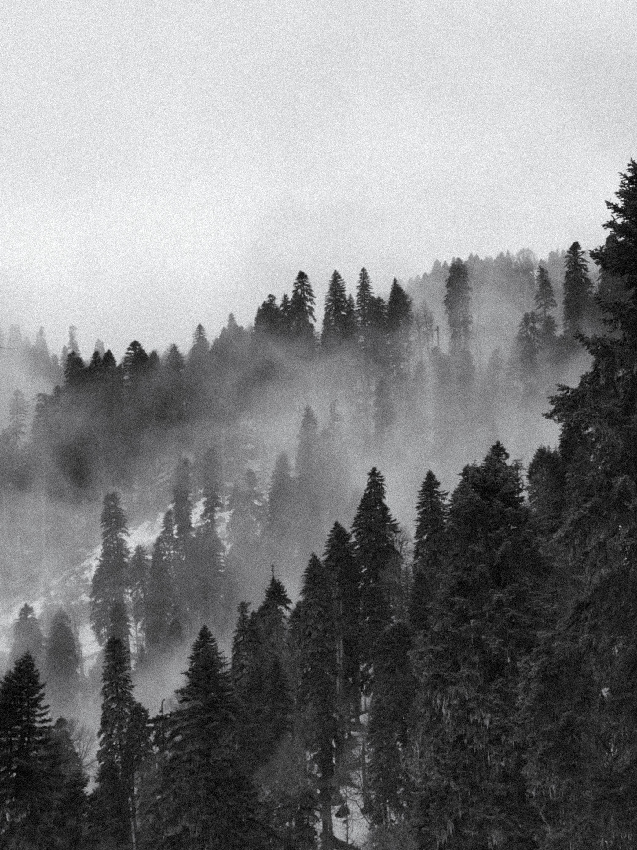 Принт для интерьера в квартиру