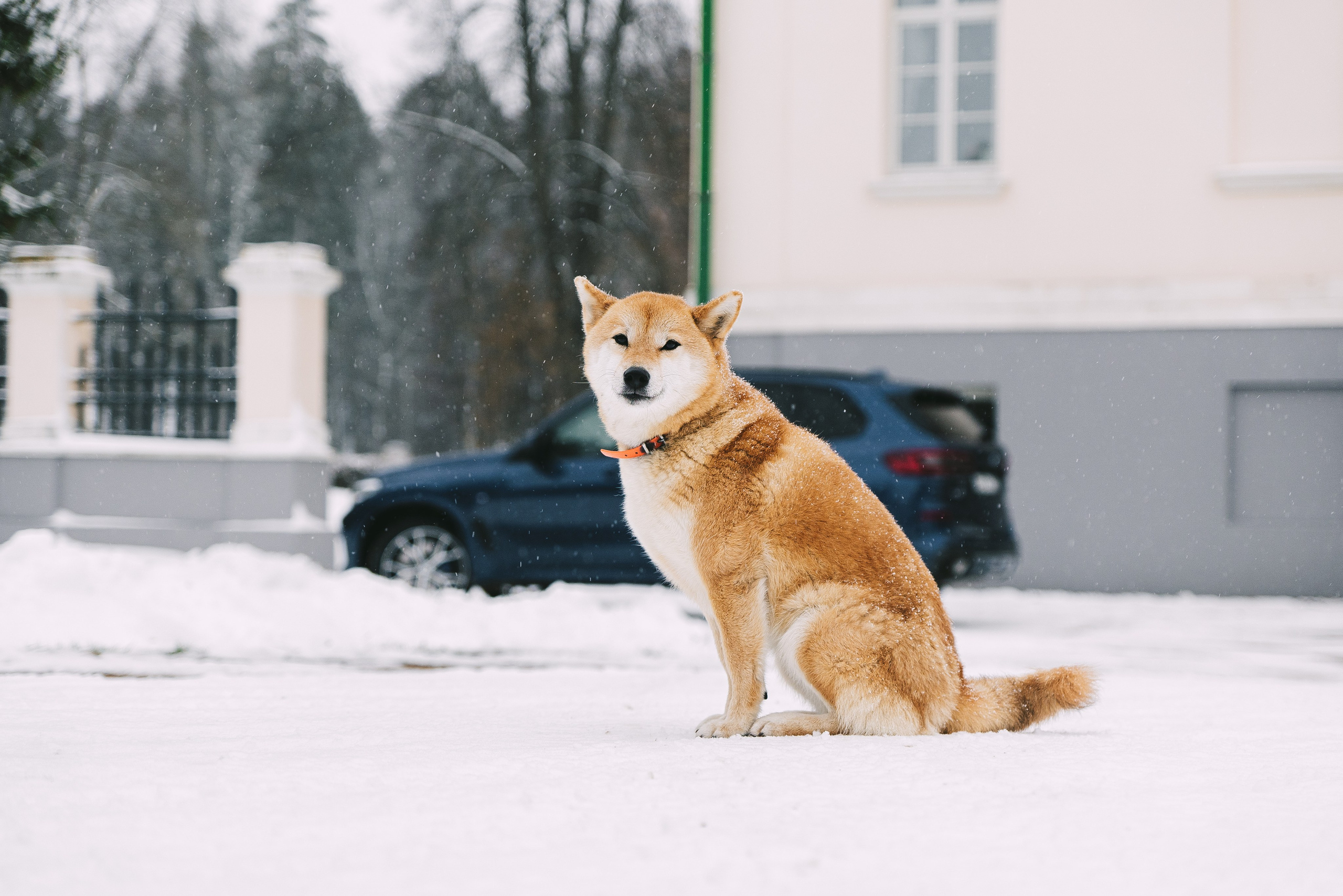 Автопутешествие по России на Range Rover, Discovery , Defender. Жуков Илья свадебный фотограф в Москве