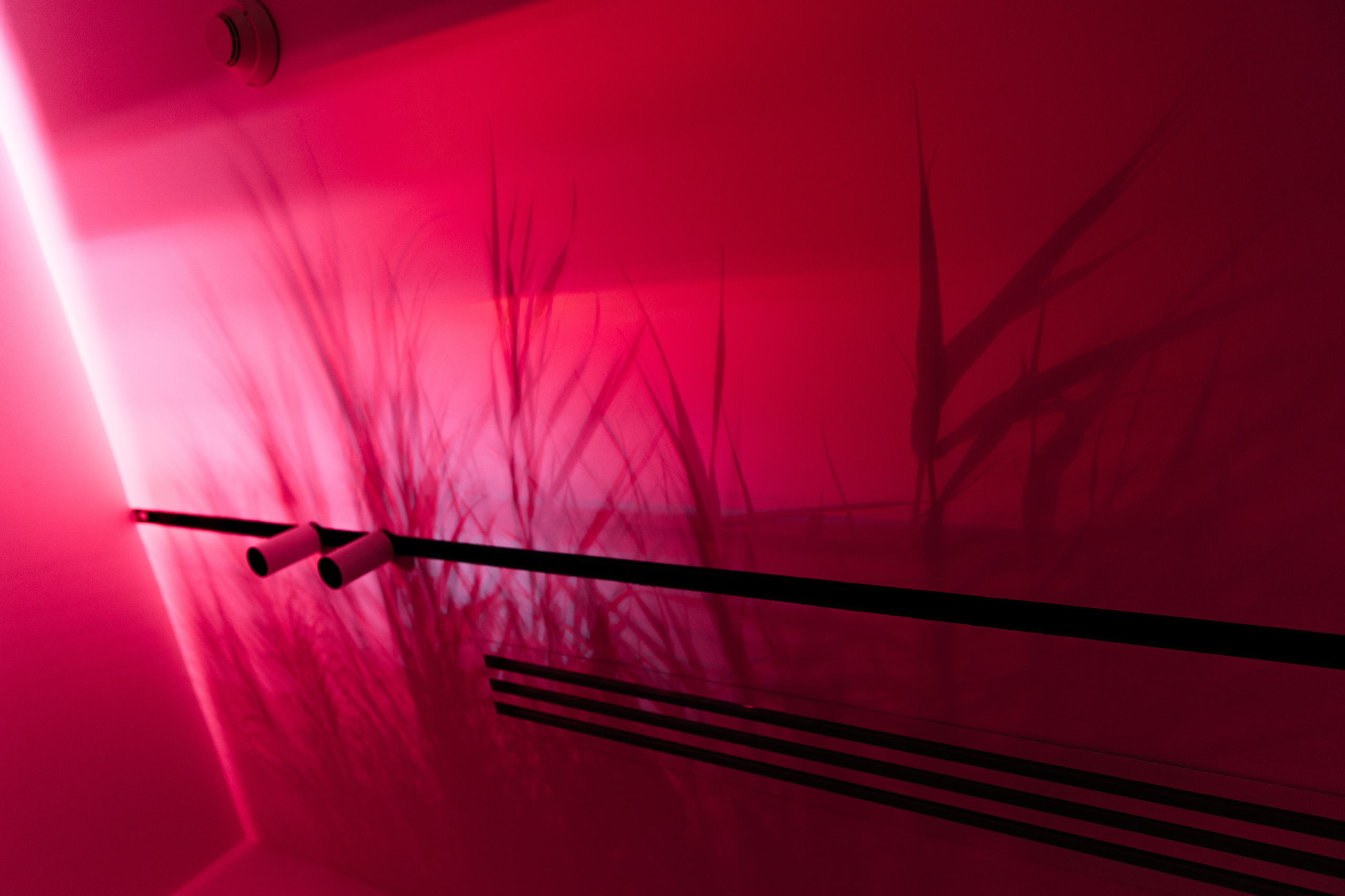 Анна Руданова — свадебный и семейный фотограф