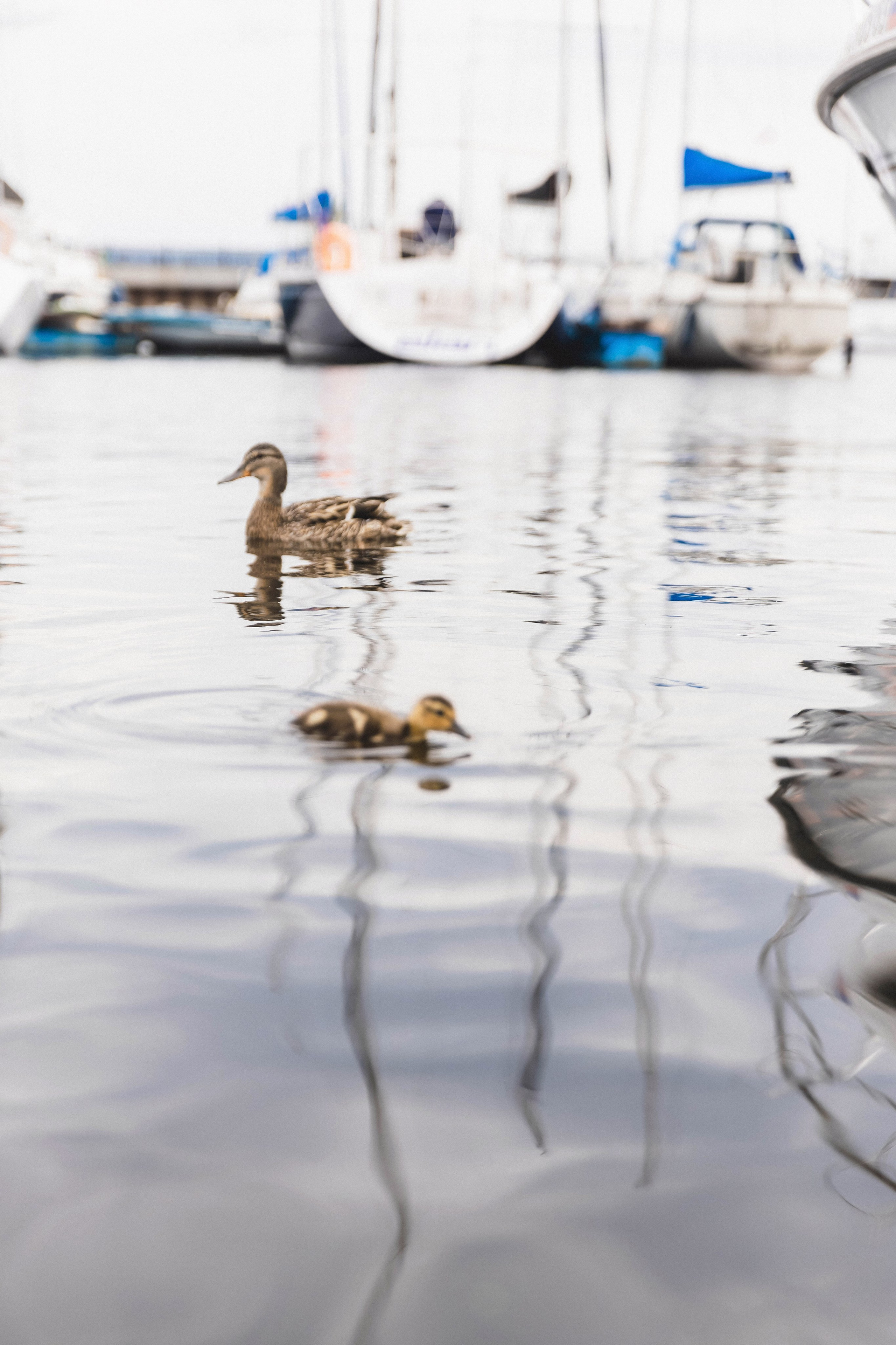 Фотограф в Самаре Максим Тырин