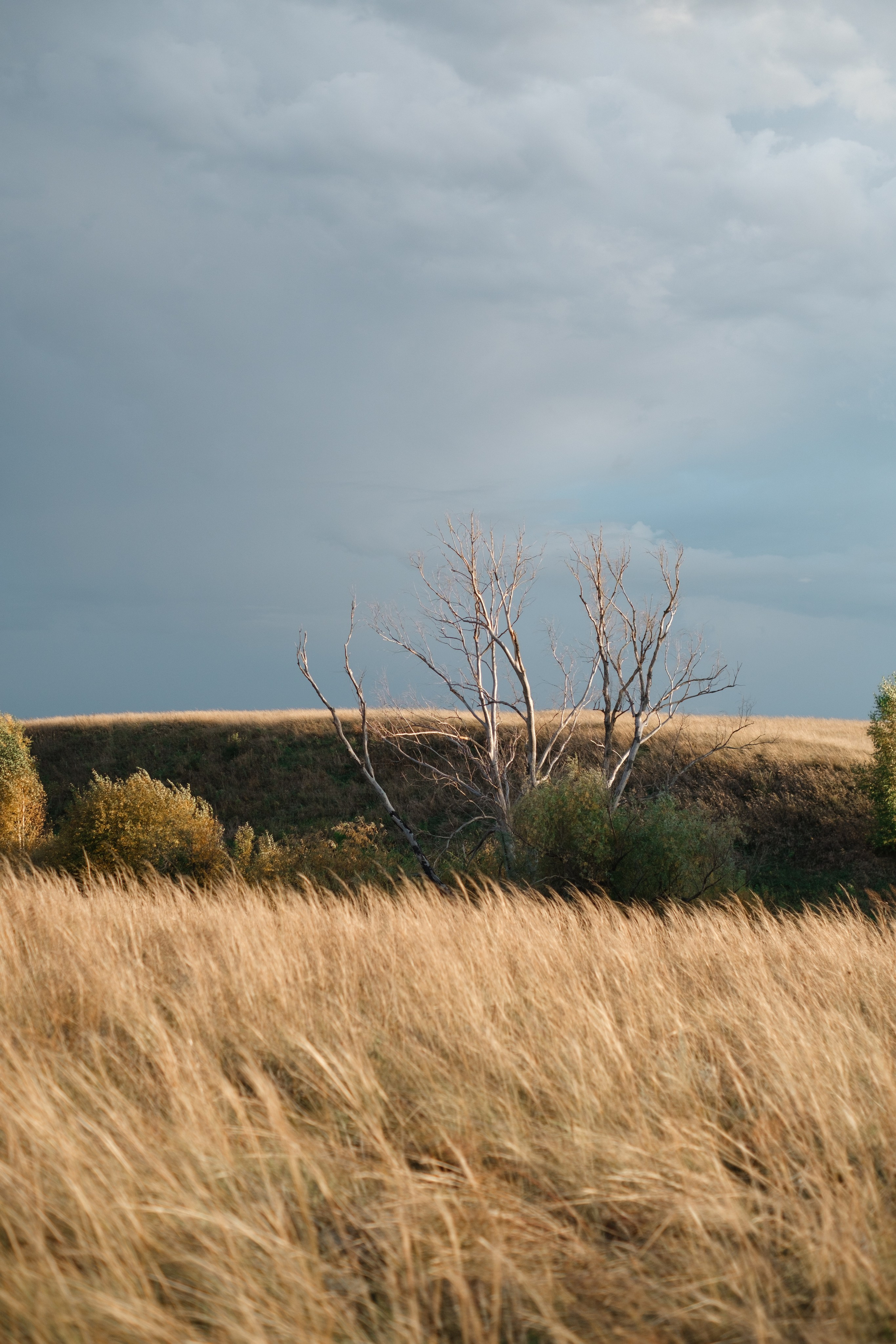 Яна и Никита с девчонками. Фотограф в Барнауле и на Алтае Маша Савова
