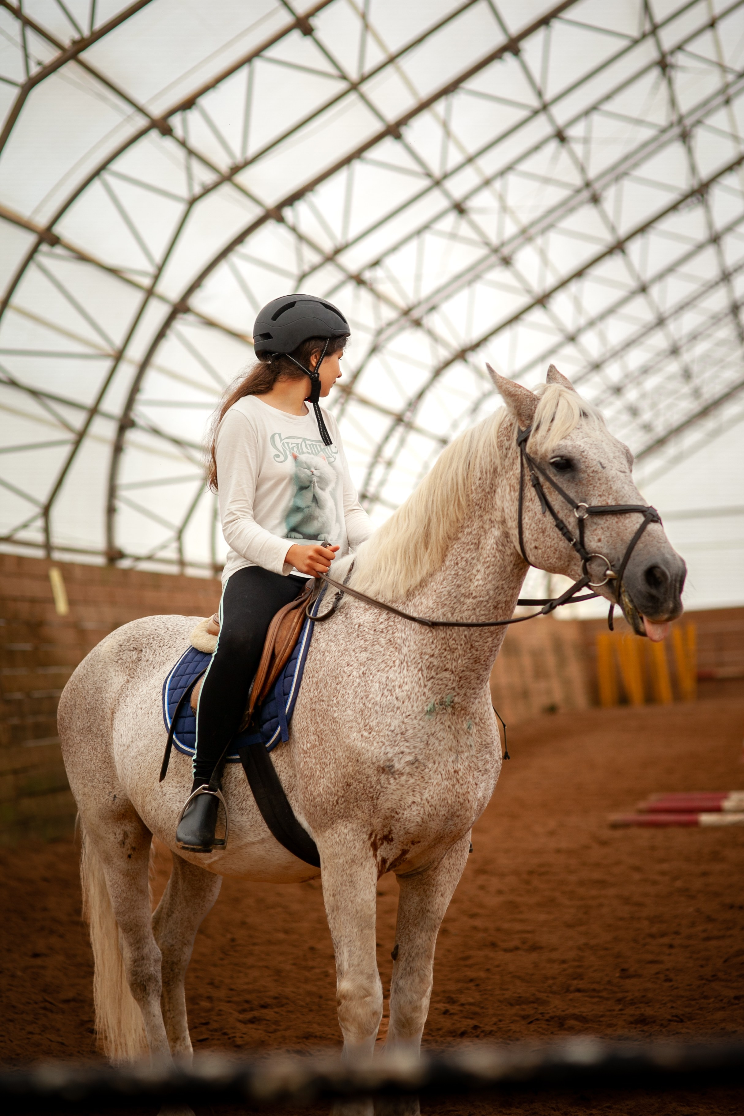 Костин двор. Фотограф Казначеева Юлия Иваново/Москва