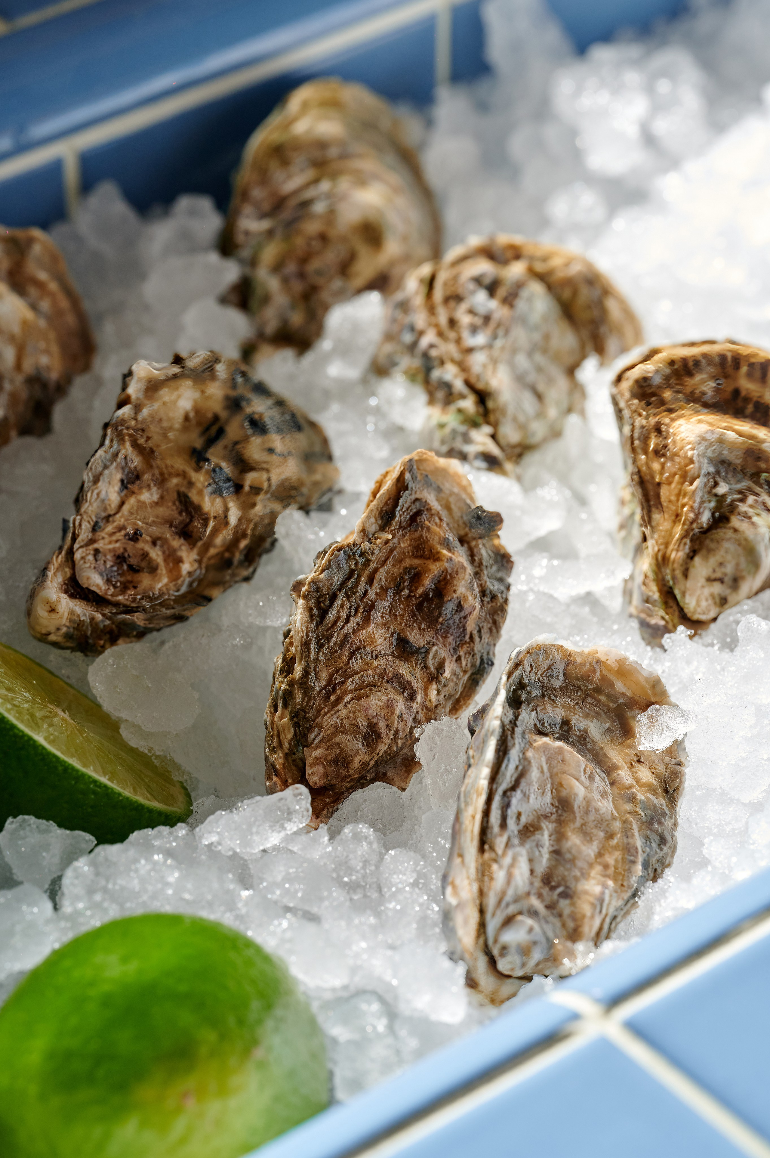 Food фотография