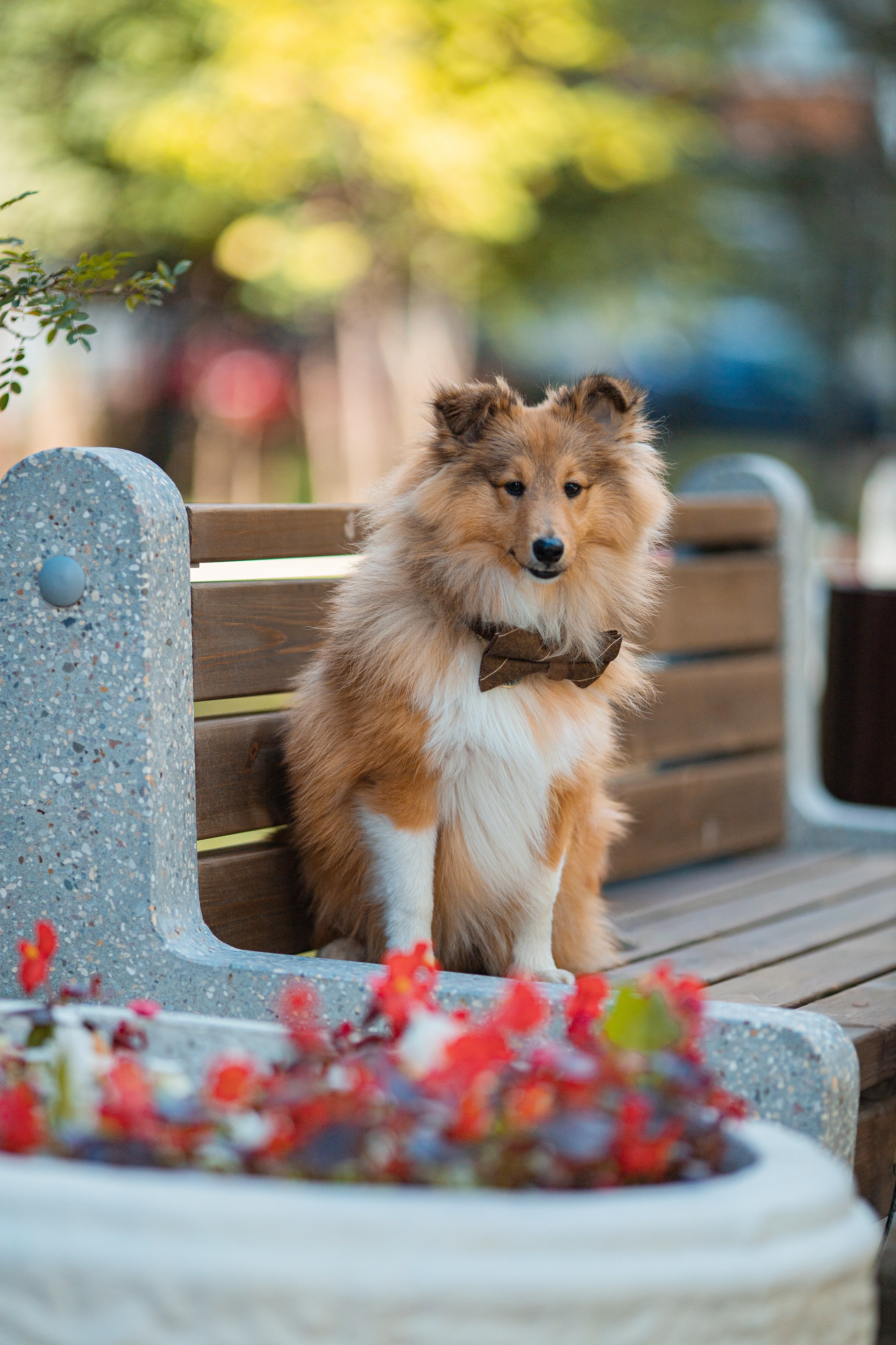 Фотосессия Найка и Майи. Художник и Фотограф Тимохина Юлия