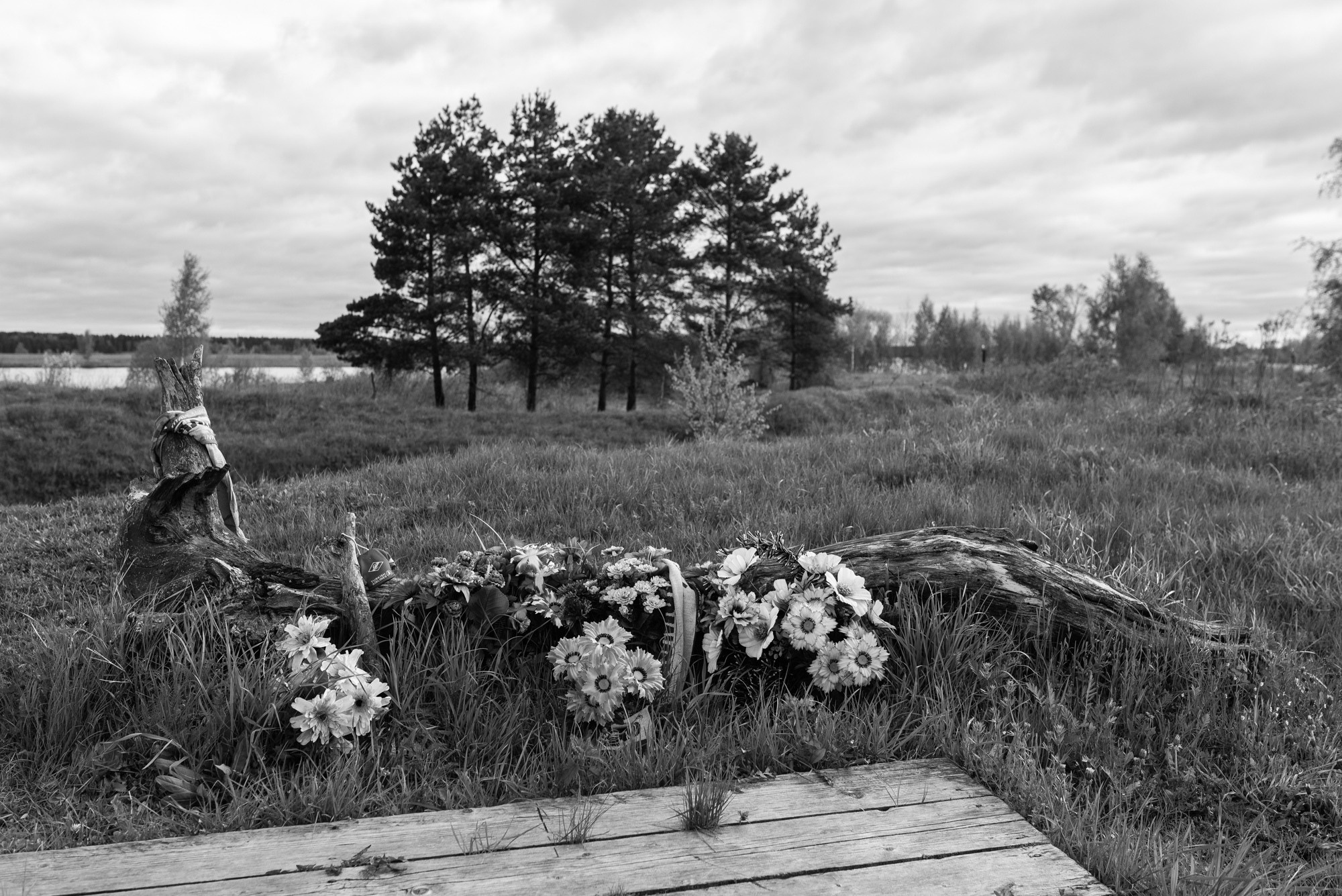 A spontaneous memorial on the remains of the tree which was broken by Yak-42 while it was falling in which on September, 7 2011 the Lokomotiv hockey team flew to the KHL match in Minsk