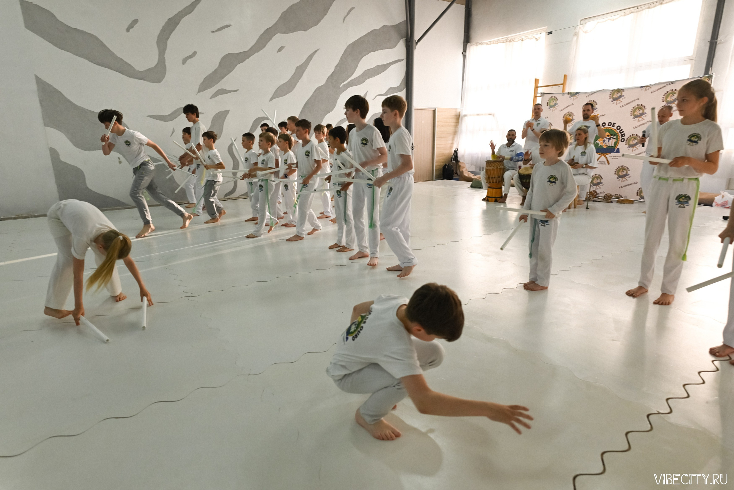 Capoeira: 4-е batizado e Troca de cordao. VIBECITY.RU Вайб Сити Ру Фоторепортажи Фотоотчеты Калининград
