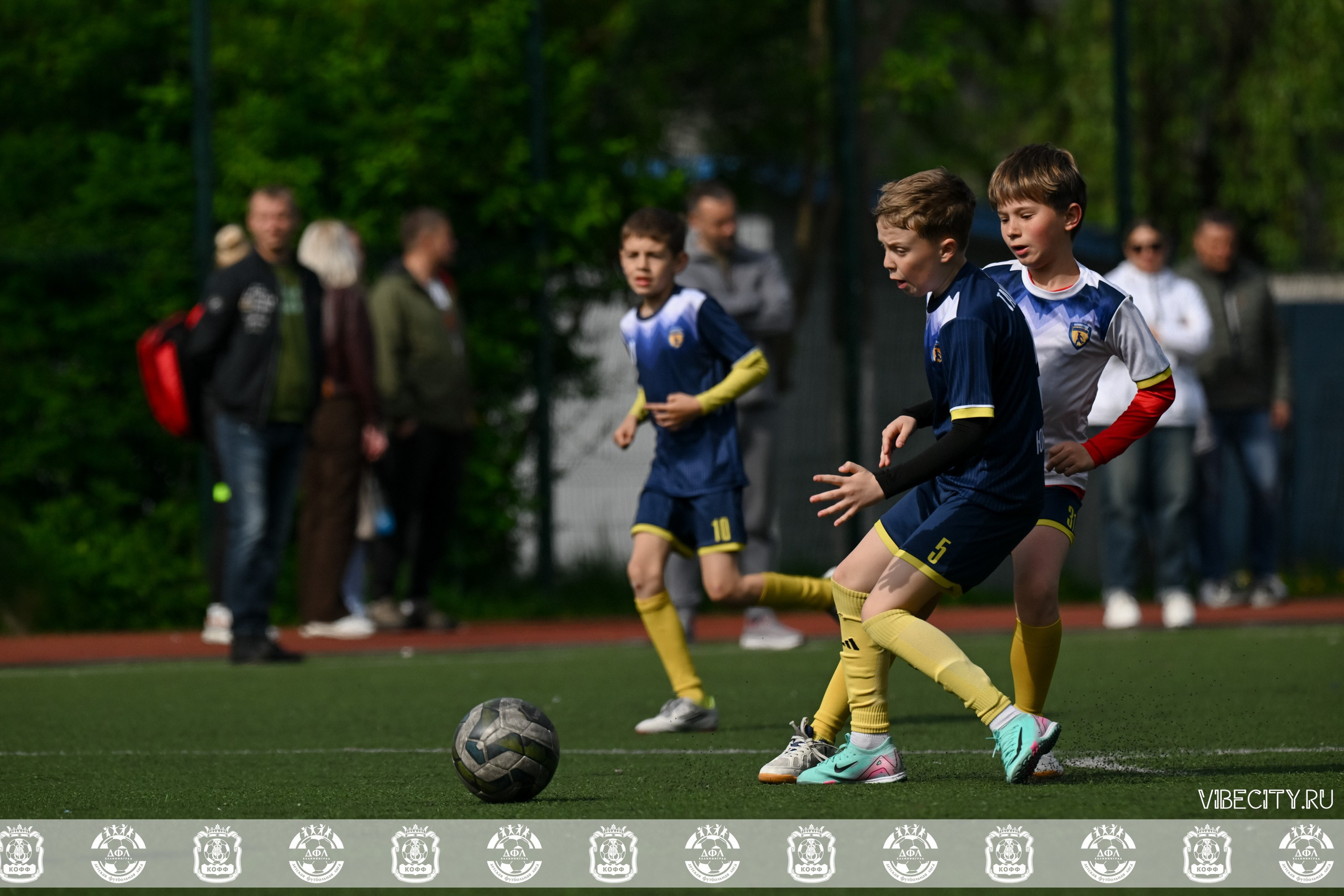 ДФЛ 17 Лицей. VIBECITY.RU Вайб Сити Ру Фоторепортажи Фотоотчеты Калининград