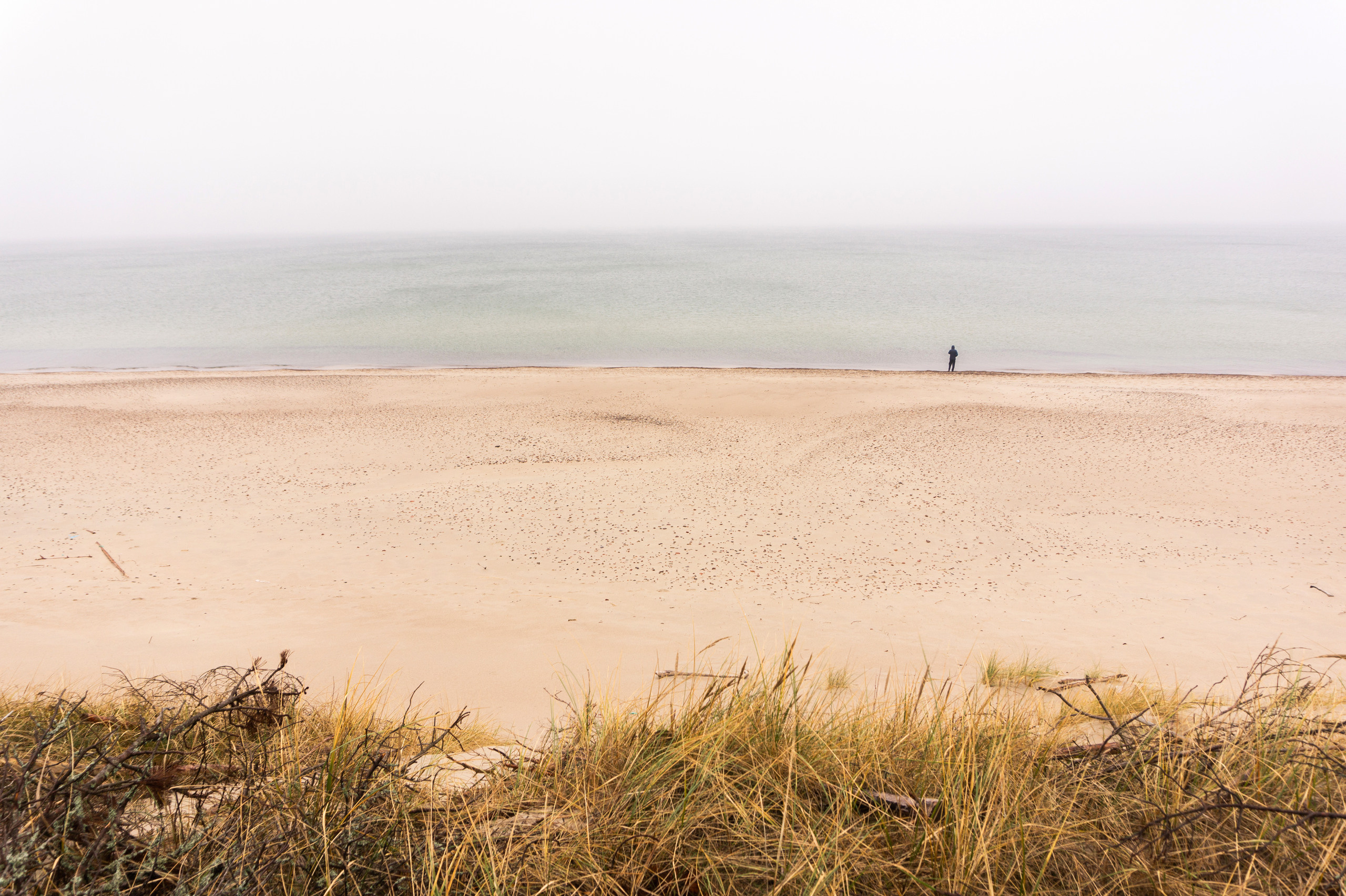 Выставка ''There are no miracles to come'' с 11 января по 11 февраля 2