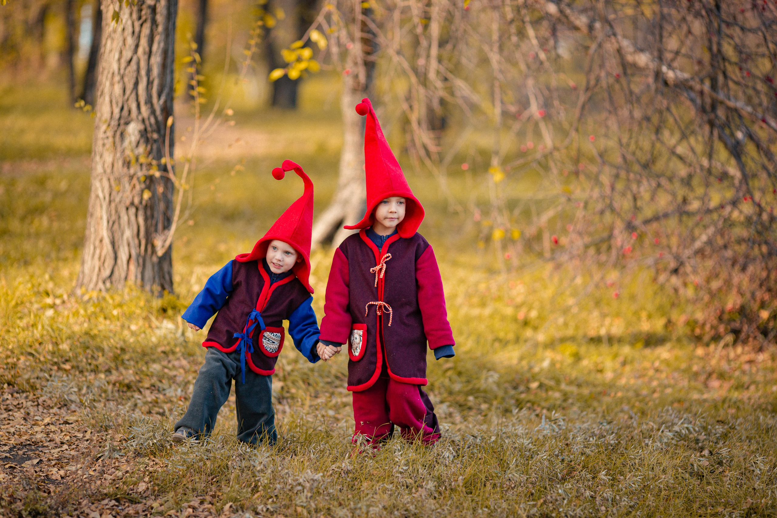 Лесные гномы