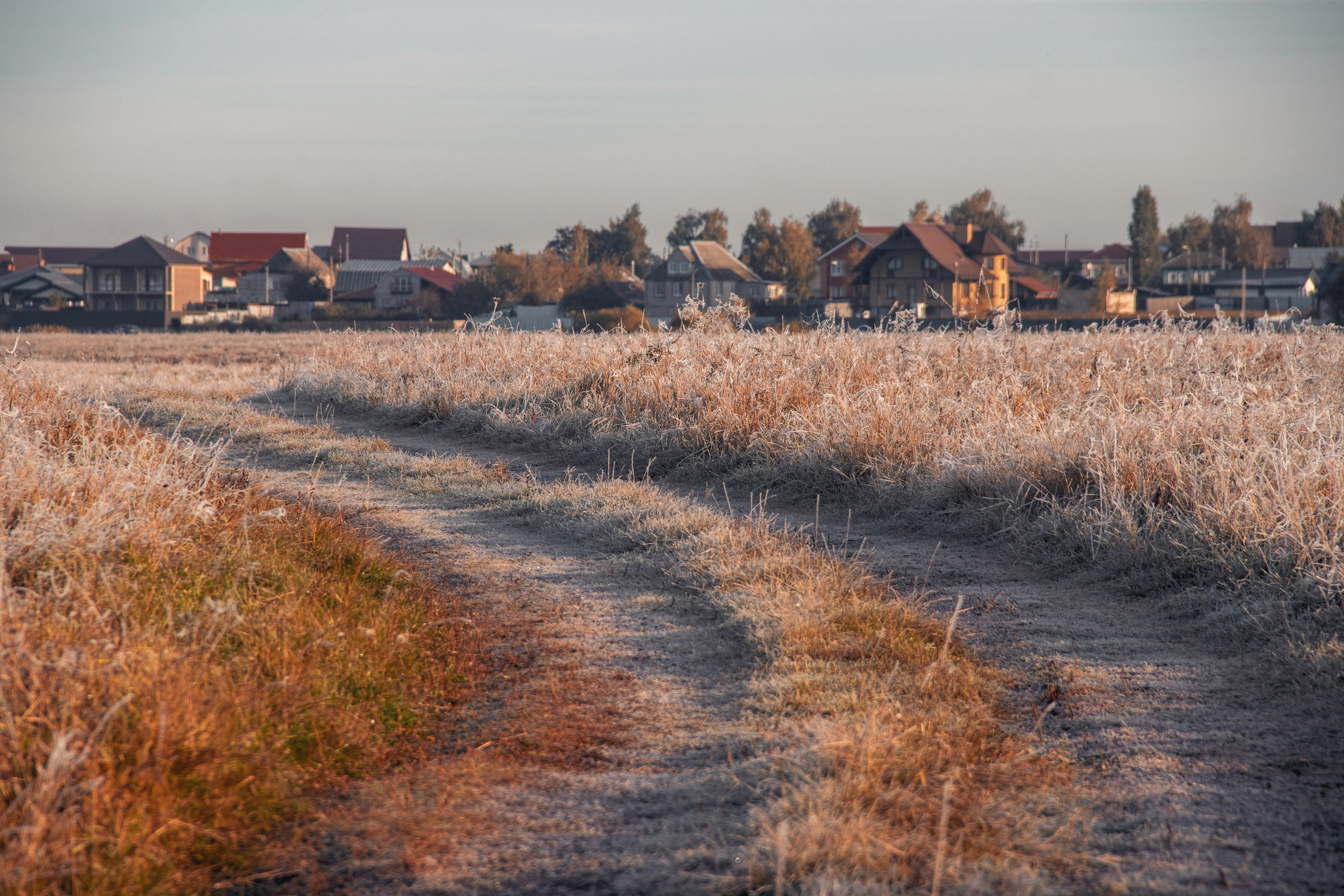 Волшебное утро в первый день октября. С любовью, фотохудожник