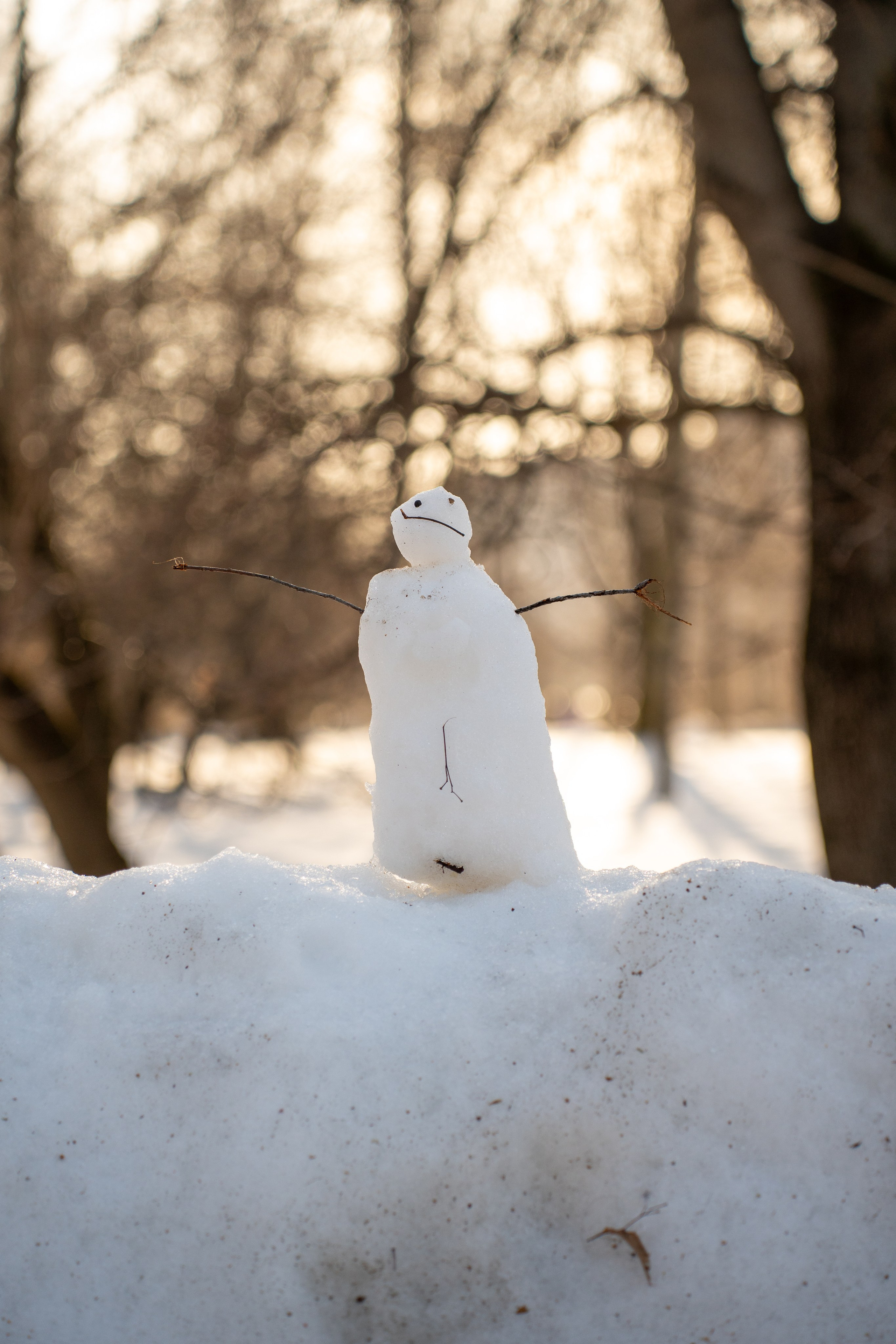 Фотограф Алиса Счастливая | Свадьбы, дети, спорт | Москва