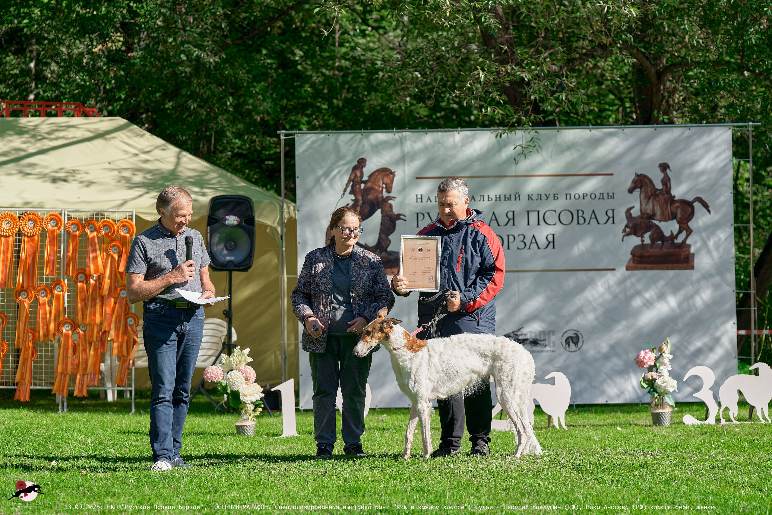 ОСЕННИЙ МАРАФОН | Специализированная выставка породы Русская Псовая Борзая ранг "КЧК в каждом классе"
