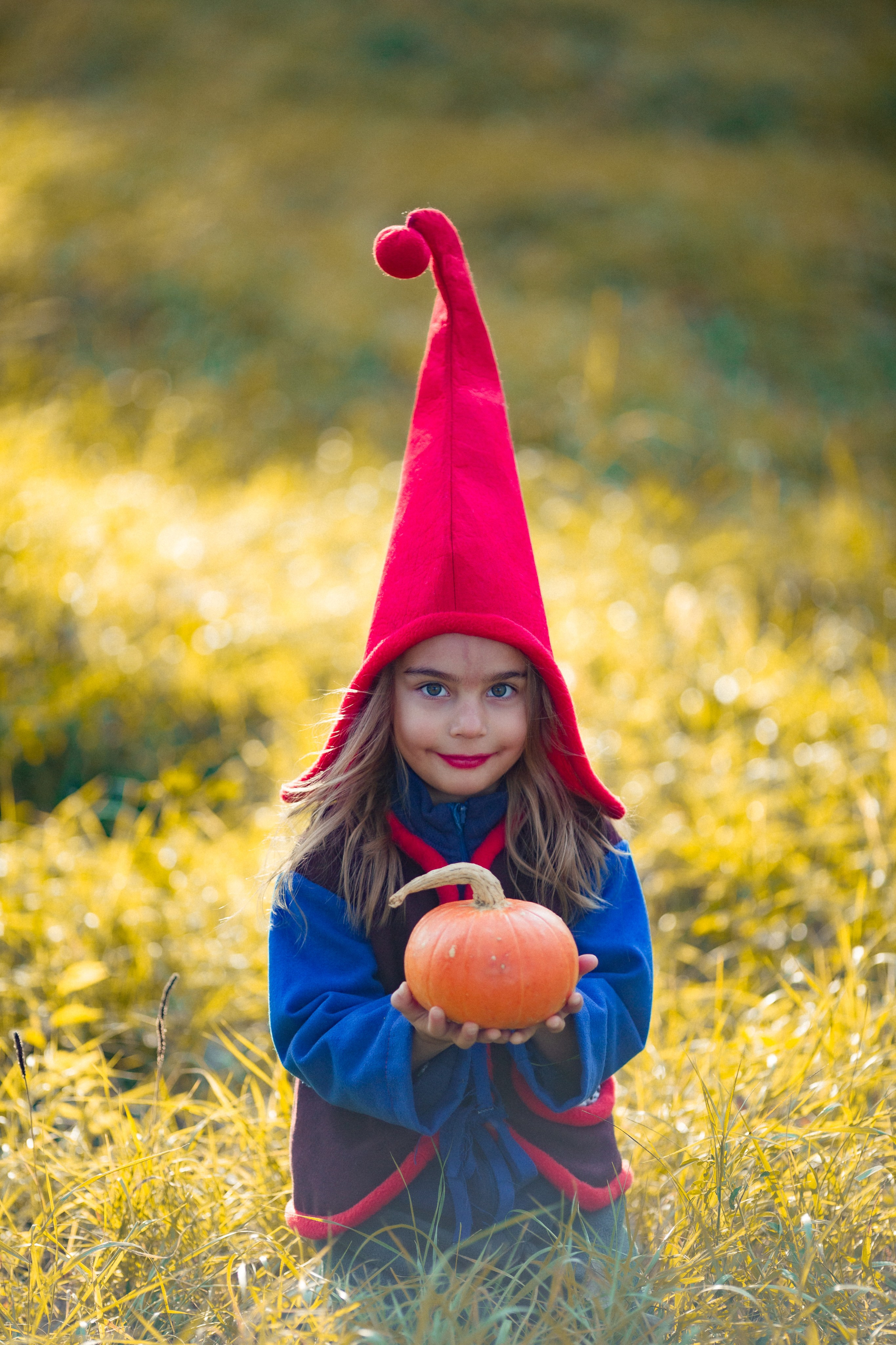 Лесные гномы