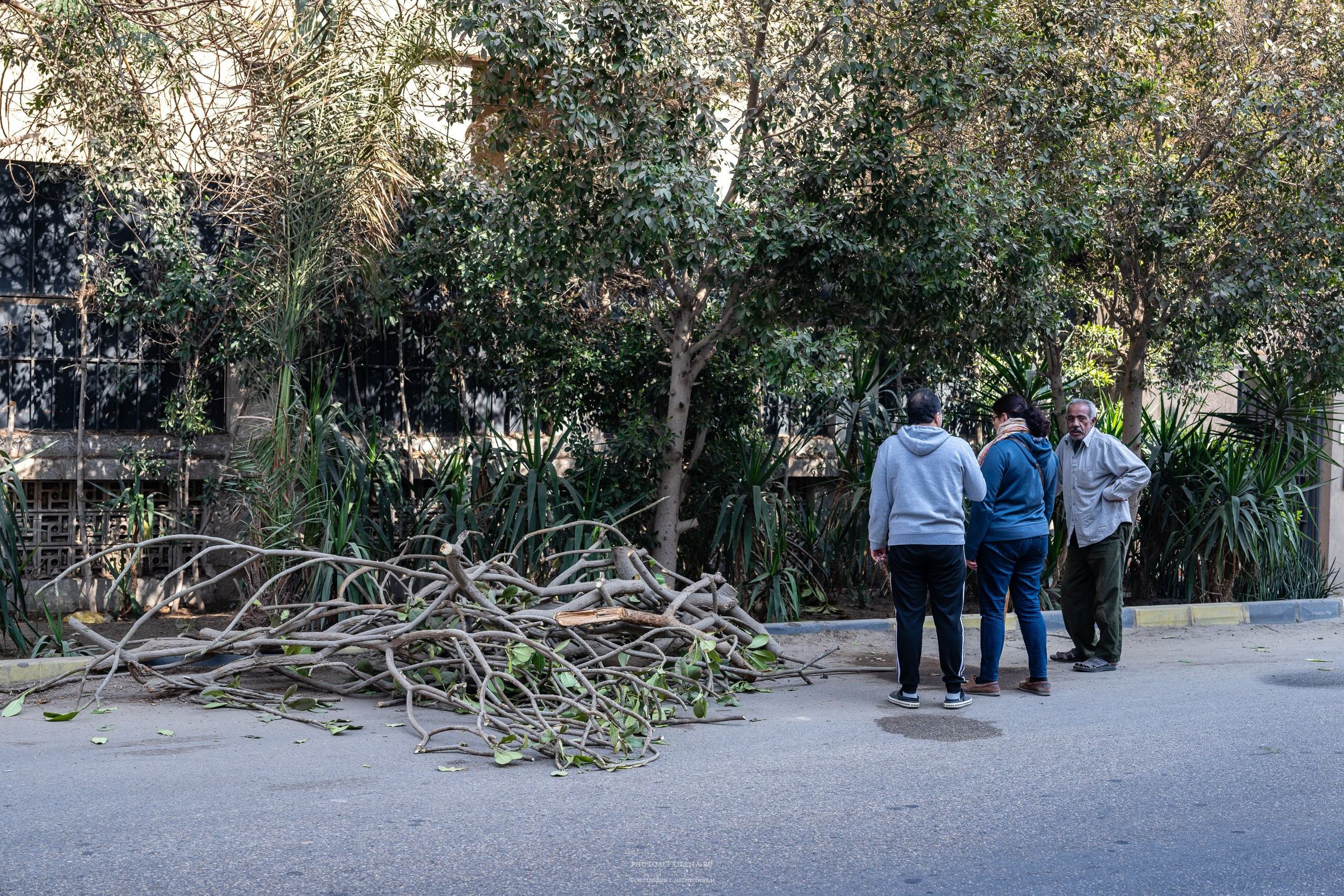 Каир самобытный и сумасшедший. Авторские стильные фотокартины