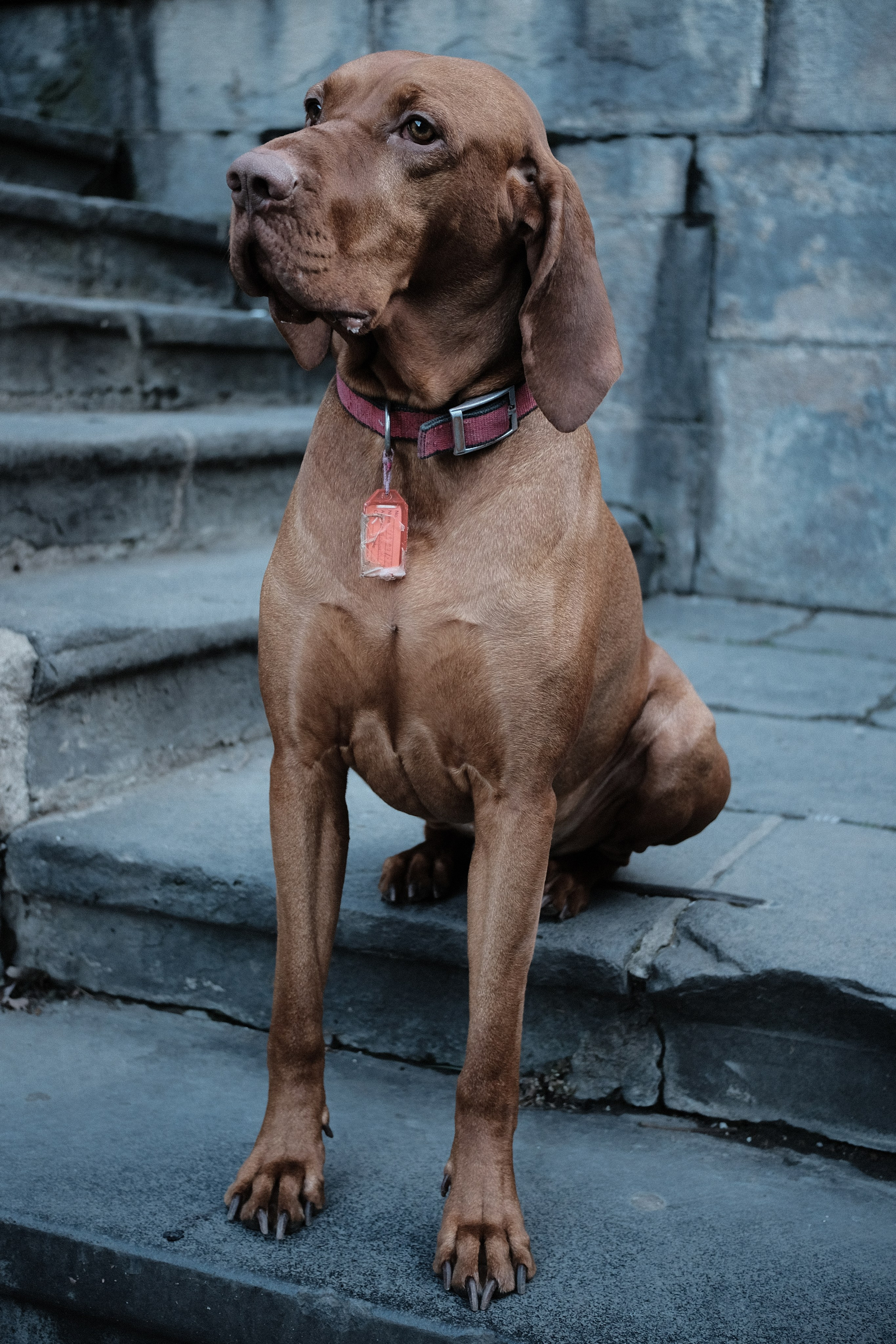 Creative travel photographer — Berg Daria