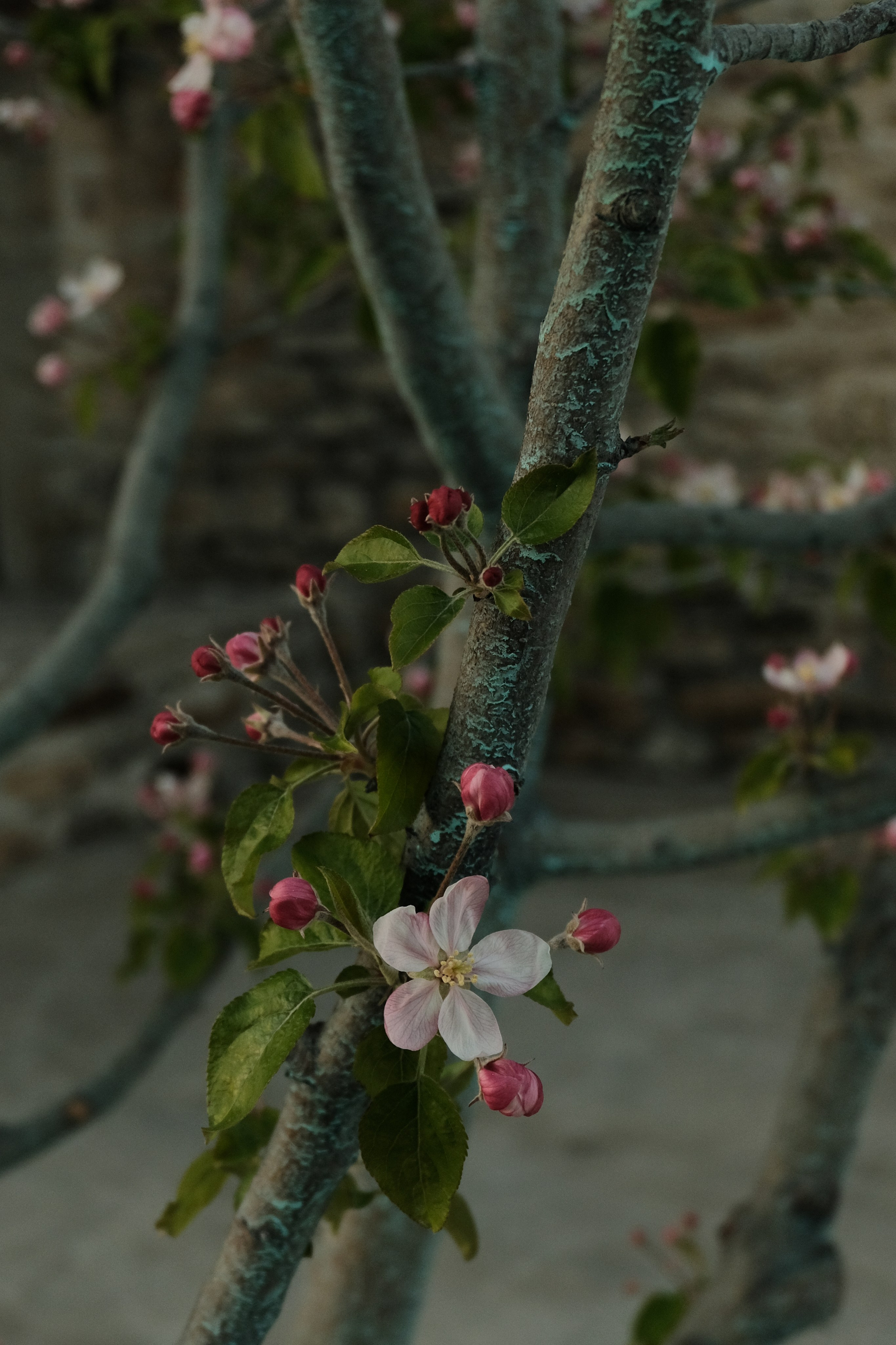 Russian wineries. Creative travel photographer — Berg Daria