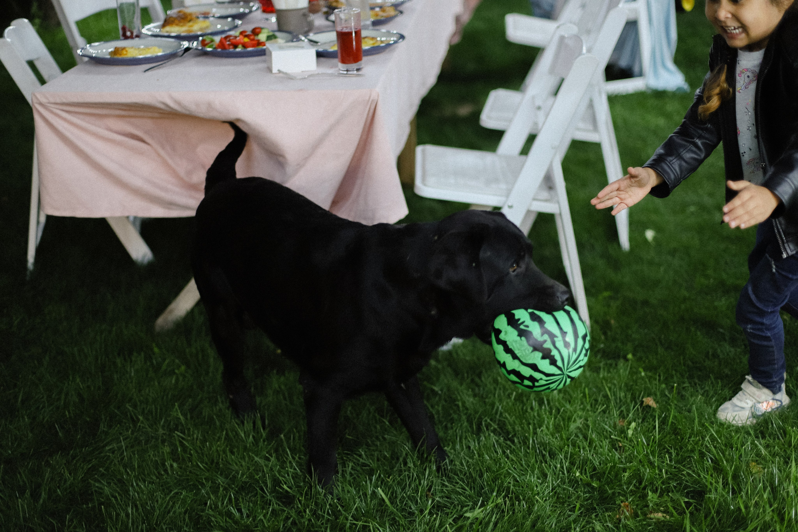 Рустам и Елизавета. Фотограф в Алматы и Москве Даша Пушкина