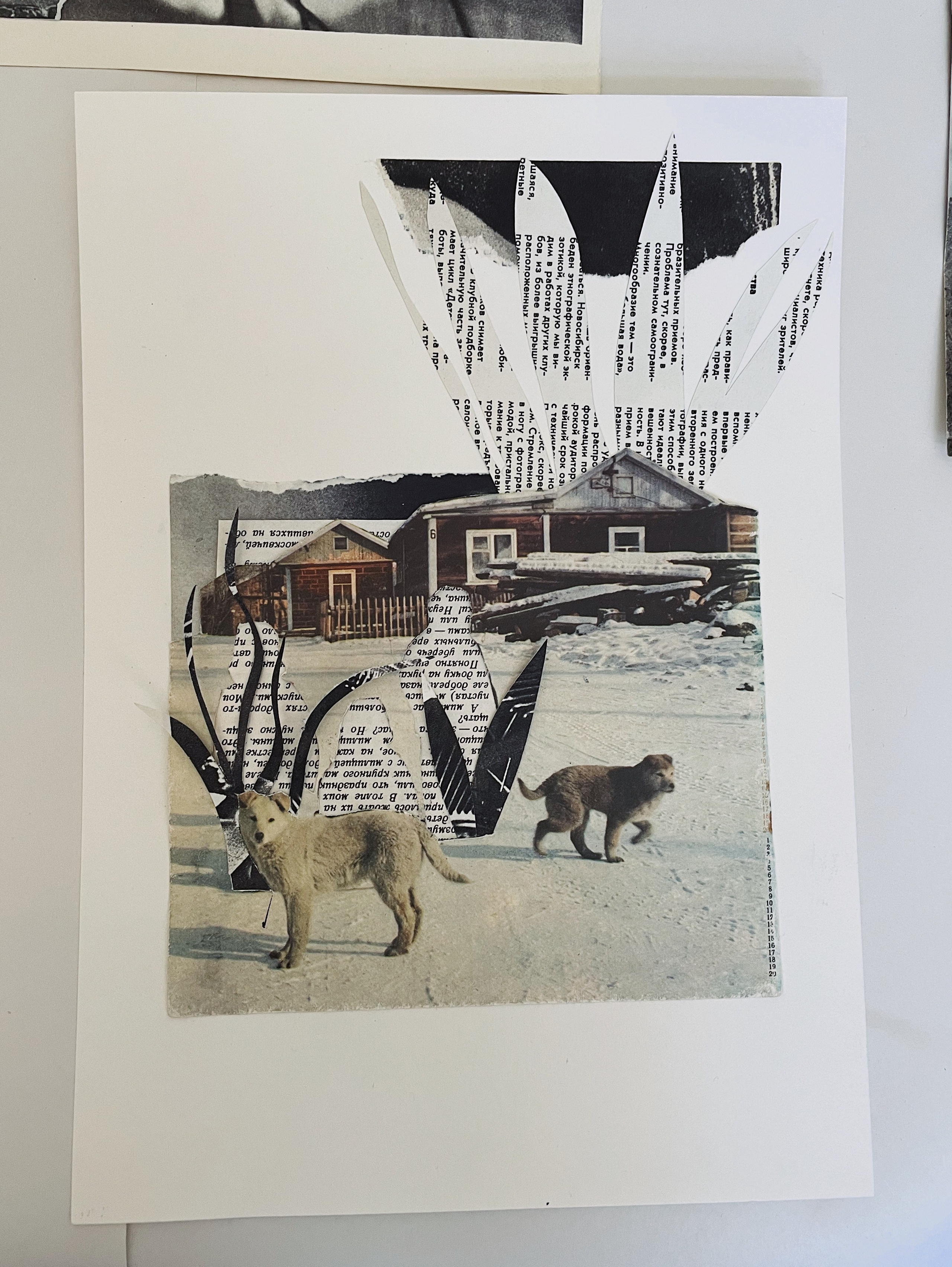 Групповые мастер-классы. Фотограф и коллажист Ольга Шереметьева