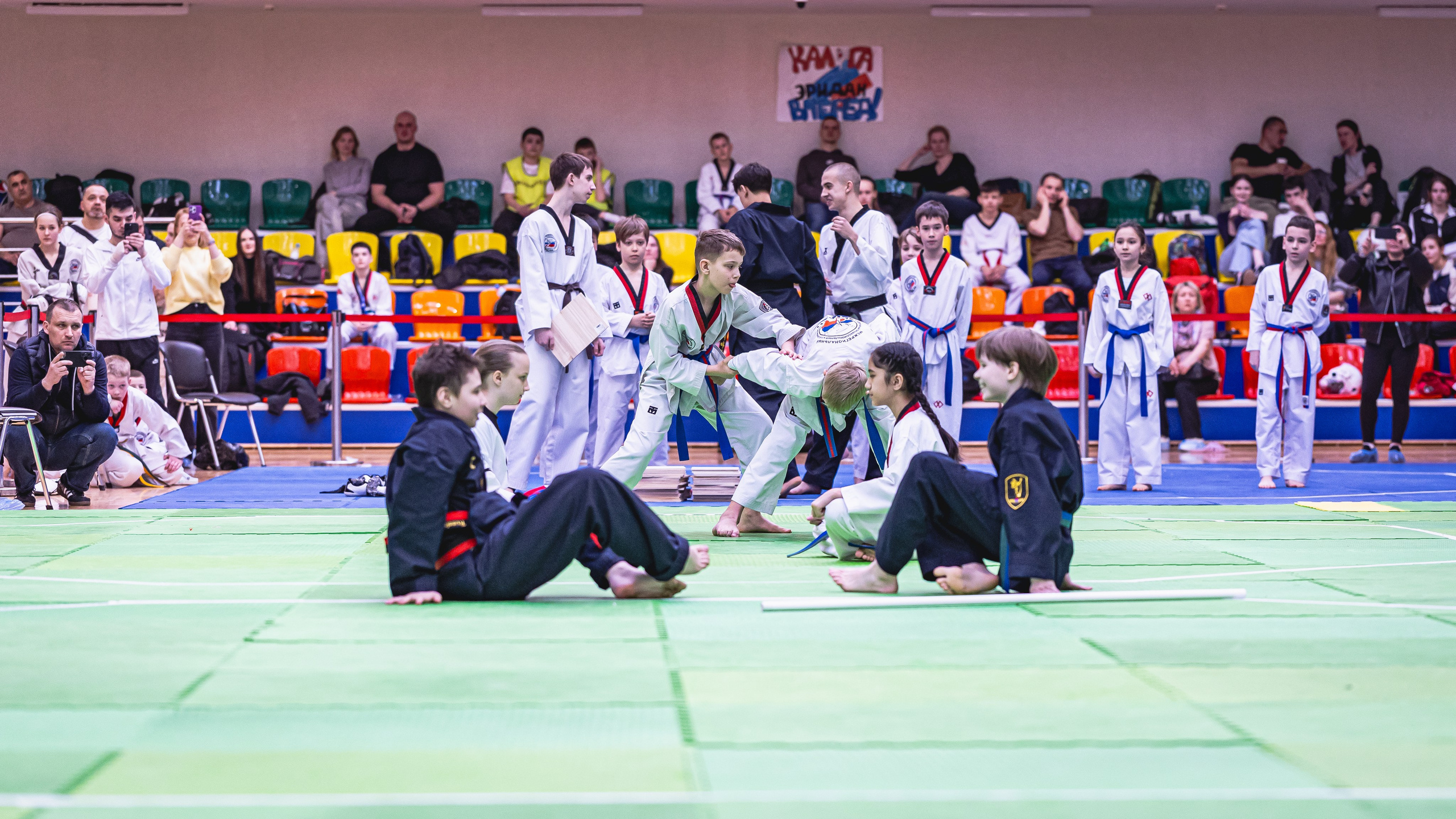 Турнир ВДЮФСОО «ФЕДЕРАЦИЯ ДЕТСКОГО ТХЭКВОНДО РОССИИ» и МОО СПКЕ «ЭРИДАН» по «СПОРТИВНОМУ БОЮ КЕРУГИ». Спортивный фотограф Максим Серегин