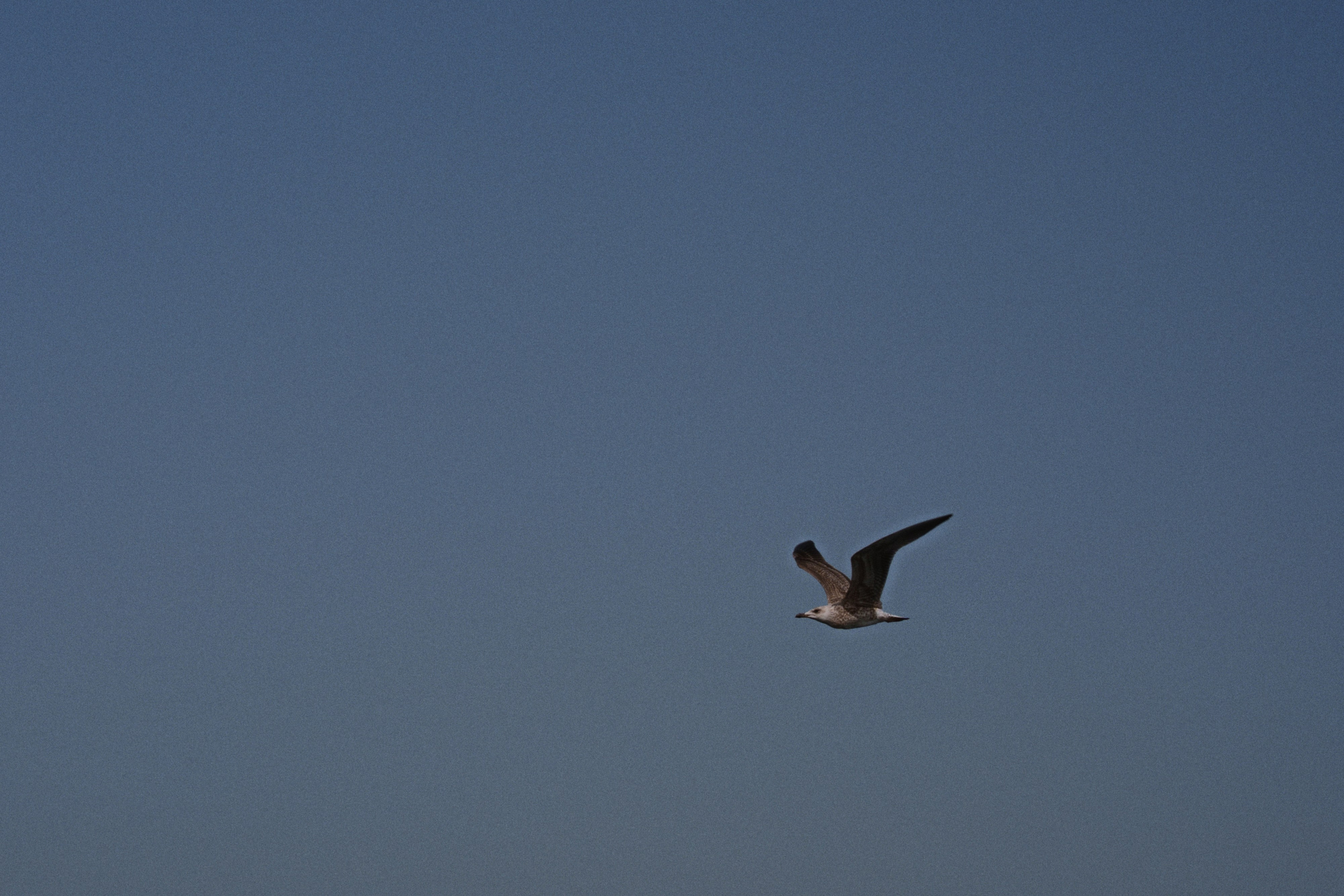 Kadikoy, Istanbul / Türkey. Фотограф Юрин Евгений