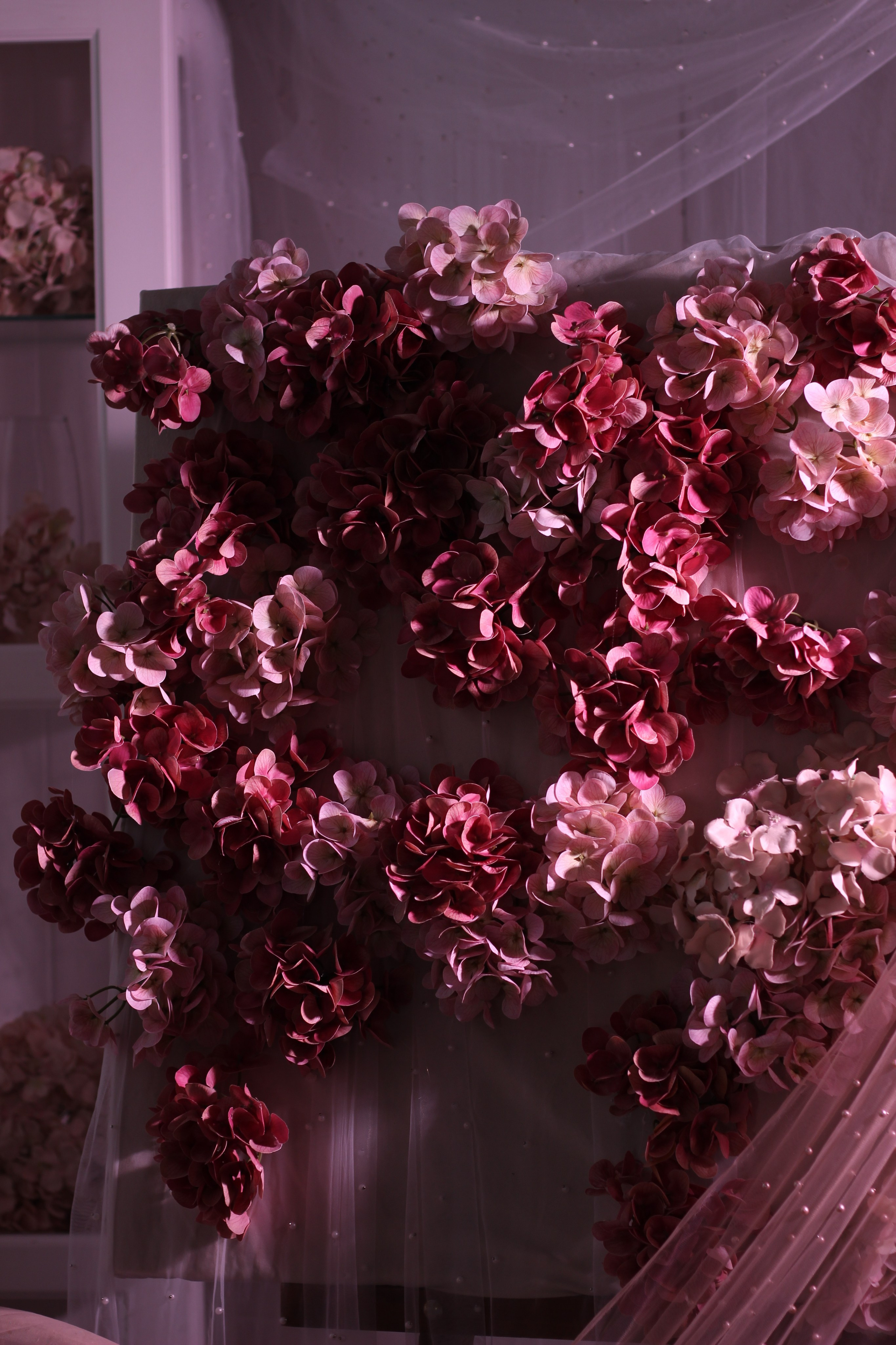 Нежная гортензия & Терпкое вино. Фотограф Красноярск