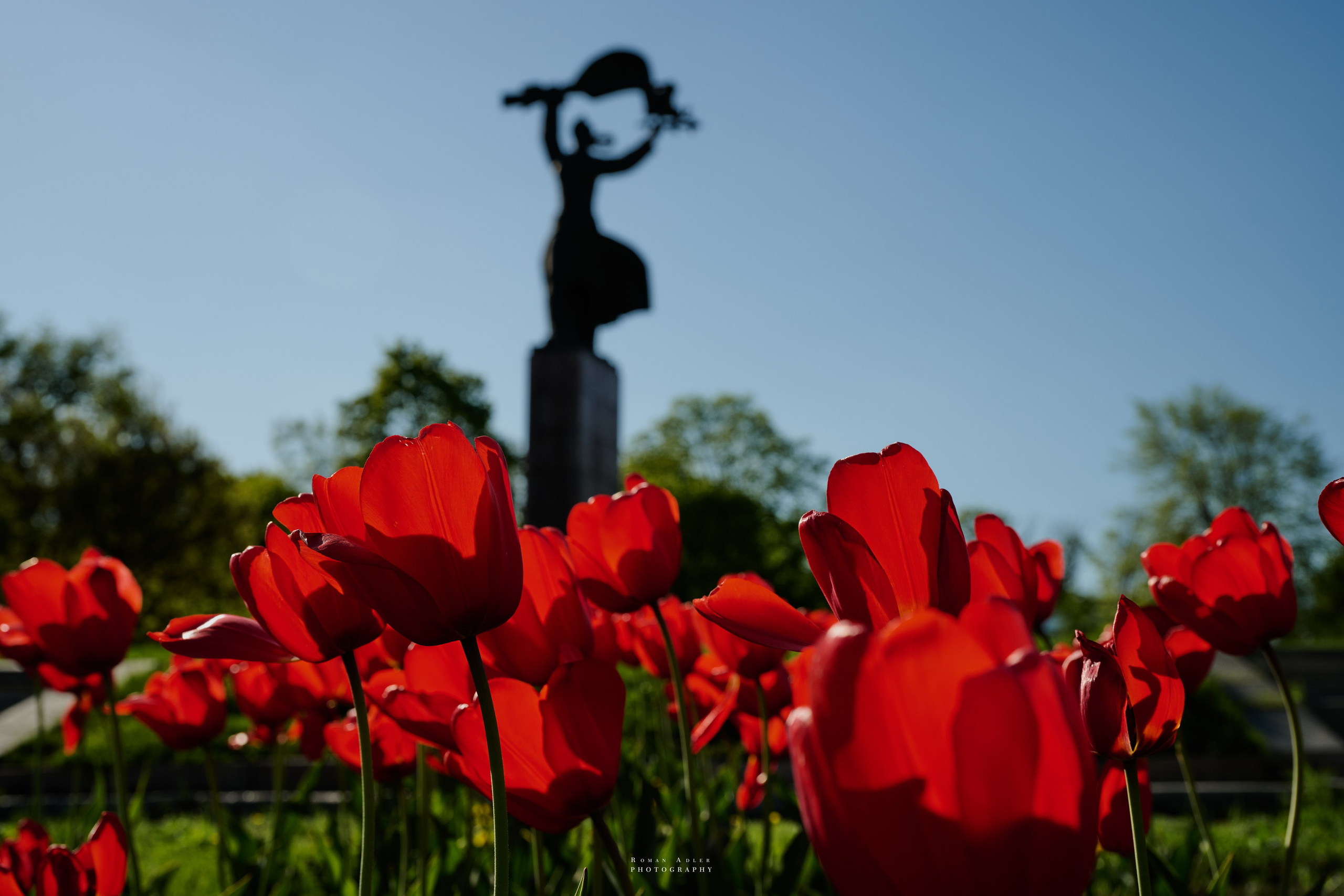 Фотограф Роман Адлер