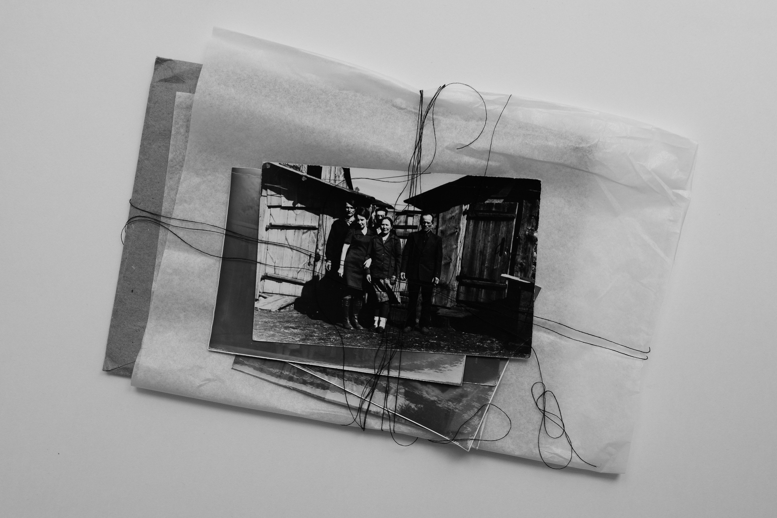 Эхо черемухи (2022 — 2025). Главная