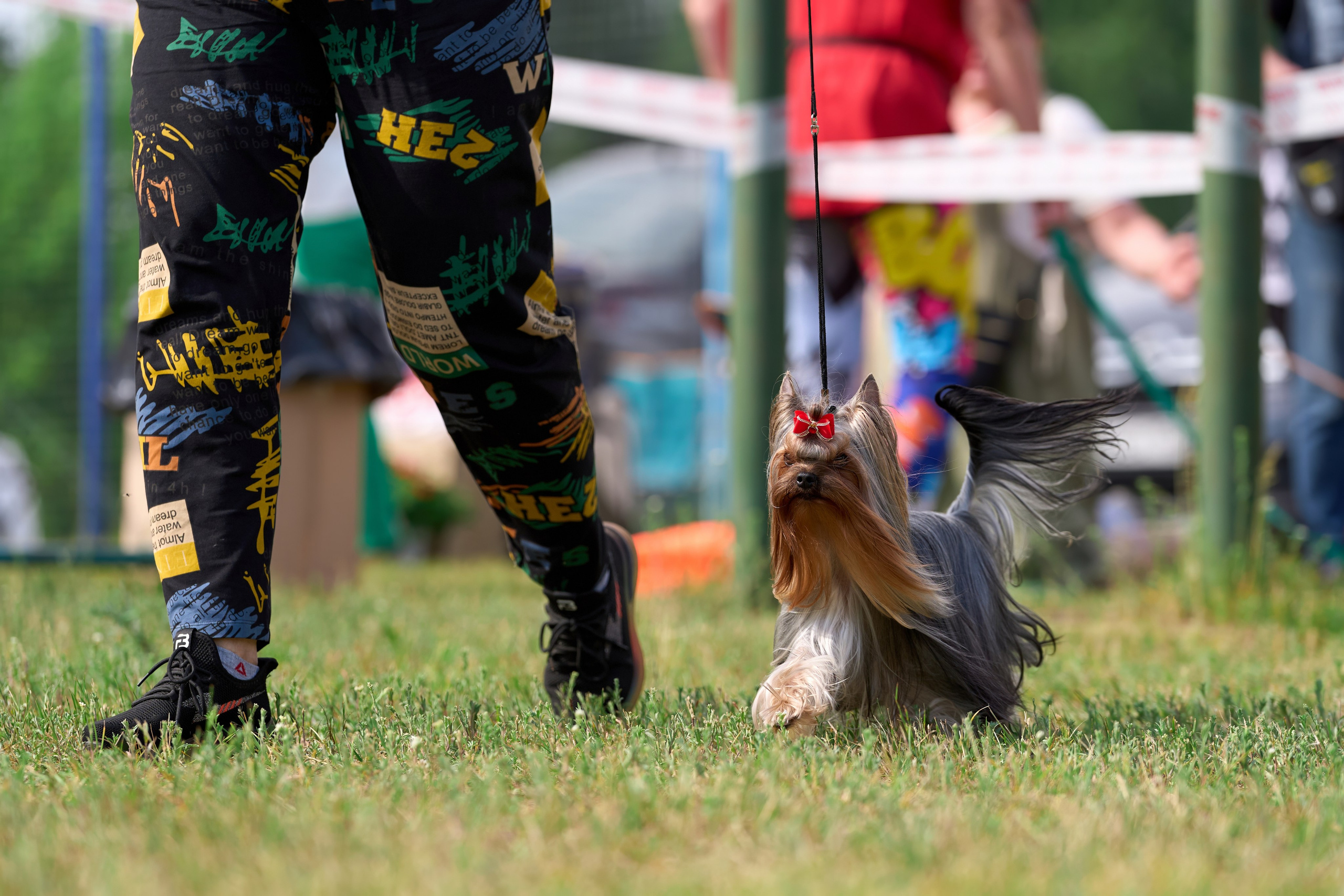 Выставка «ИЗ СОЗВЕЗДИЯ БОЛЬШОГО ПСА 2024». Фотограф-анималист Михаил Манухин