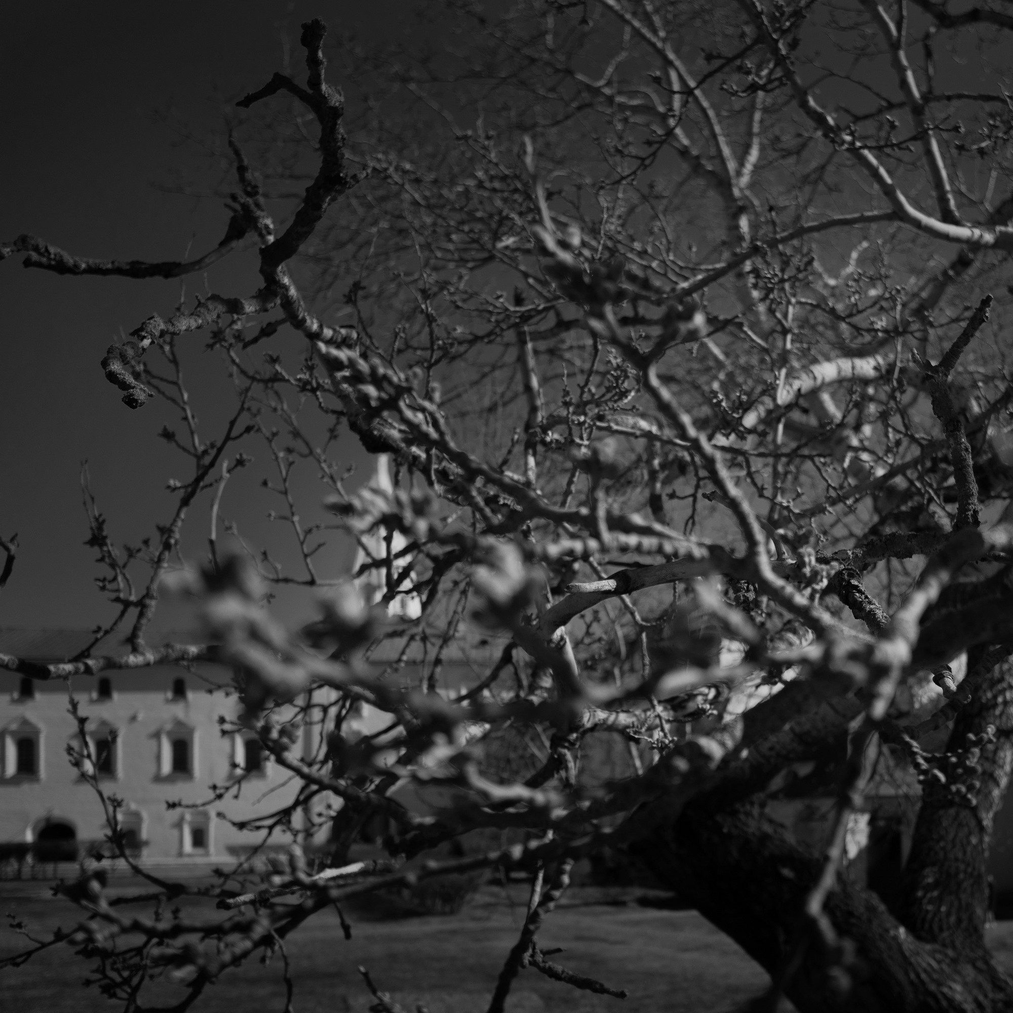 Архиерейские палаты (XV–XVIII вв.)