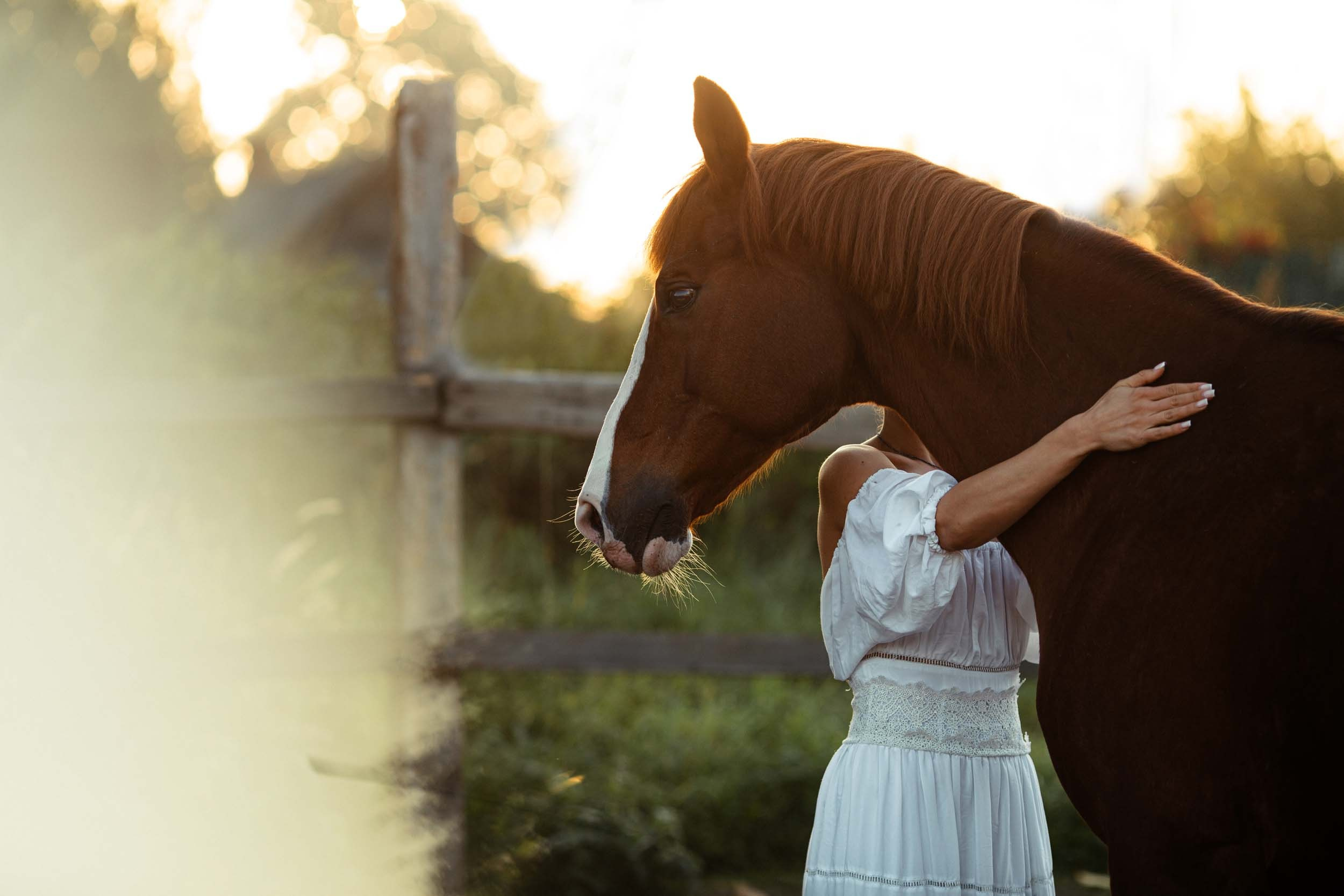Фотография. Визуально-чувственный мир души