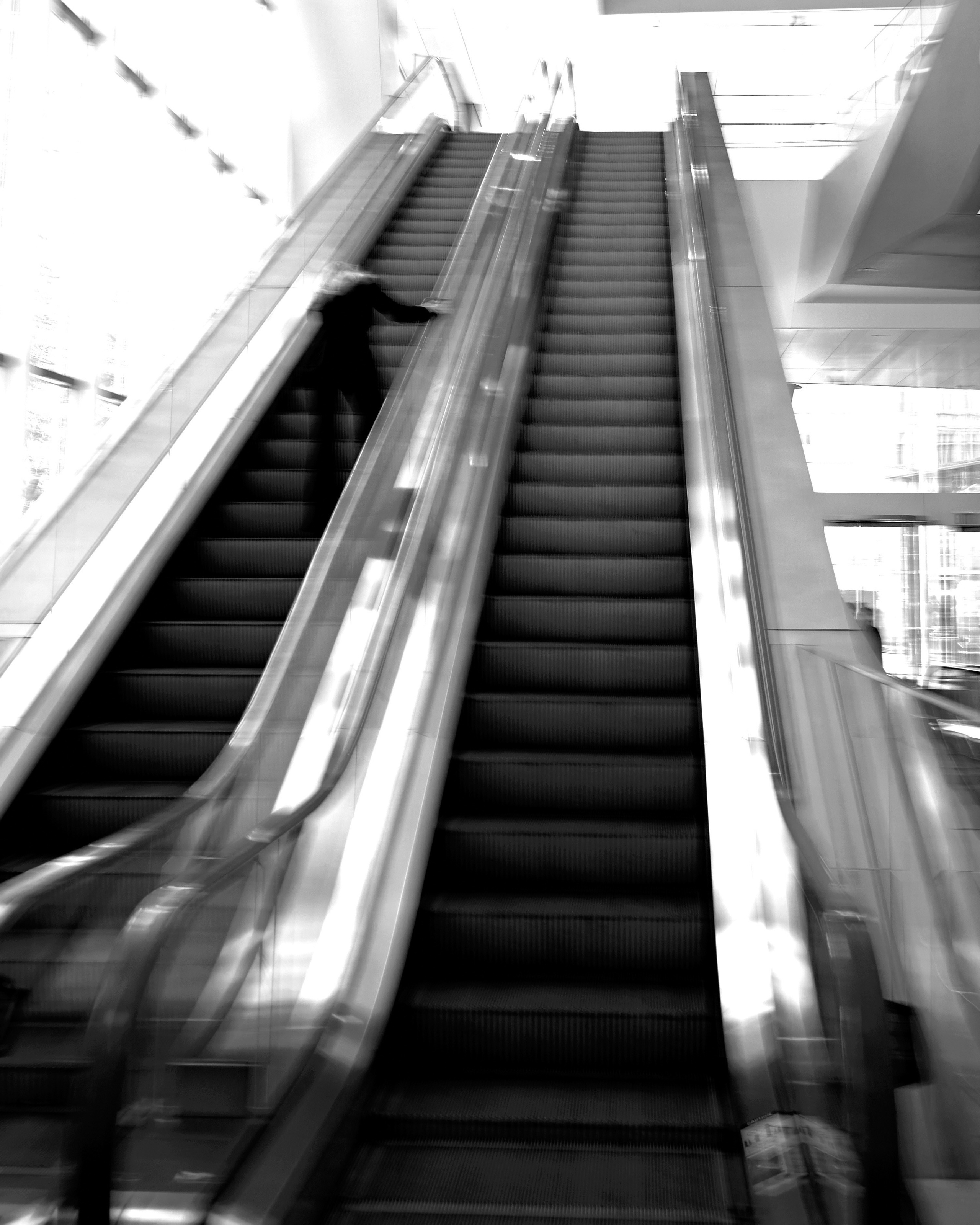 NATALIE FALEVICH. WOMEN OF NEW YORK