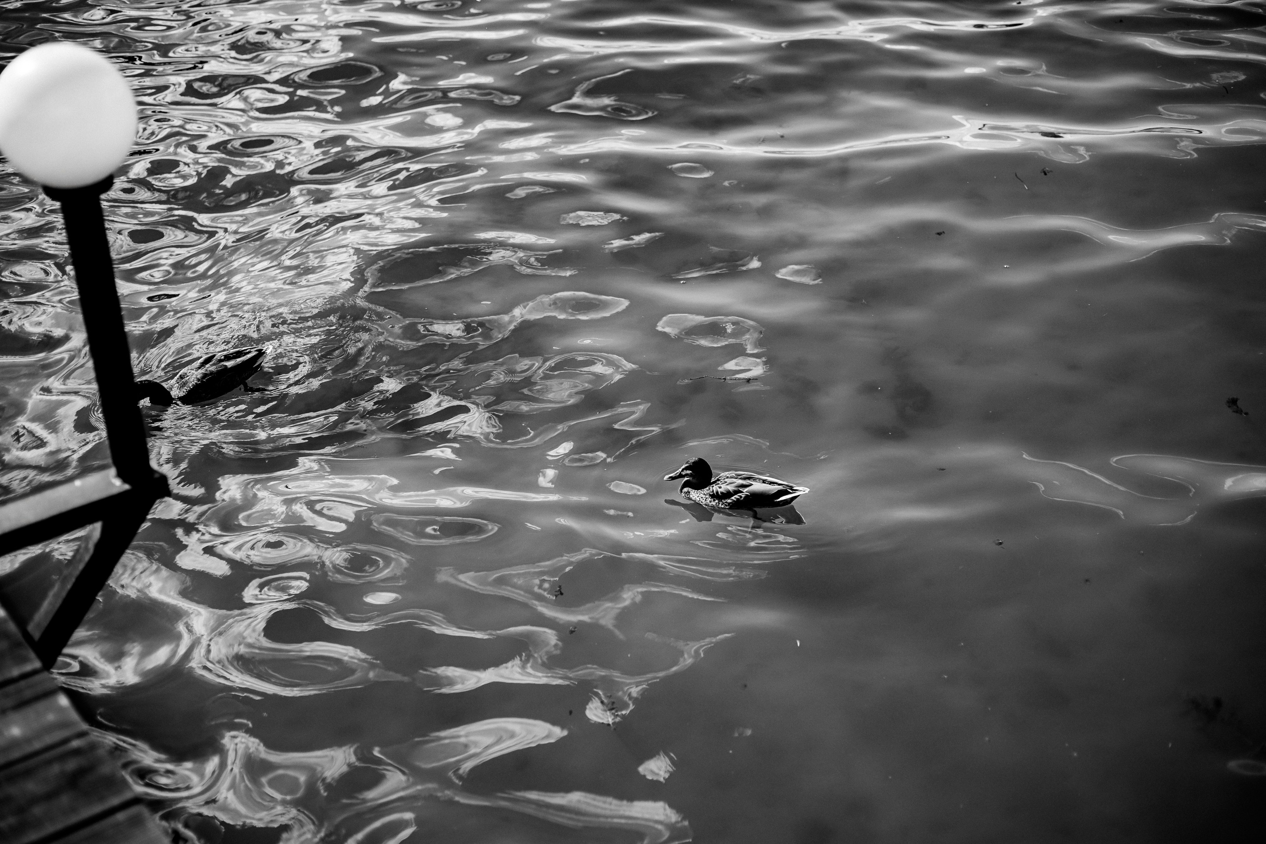 Свадьба Михаил и Ангелина. Свадебный фотограф в Воронеже Денис Коровин