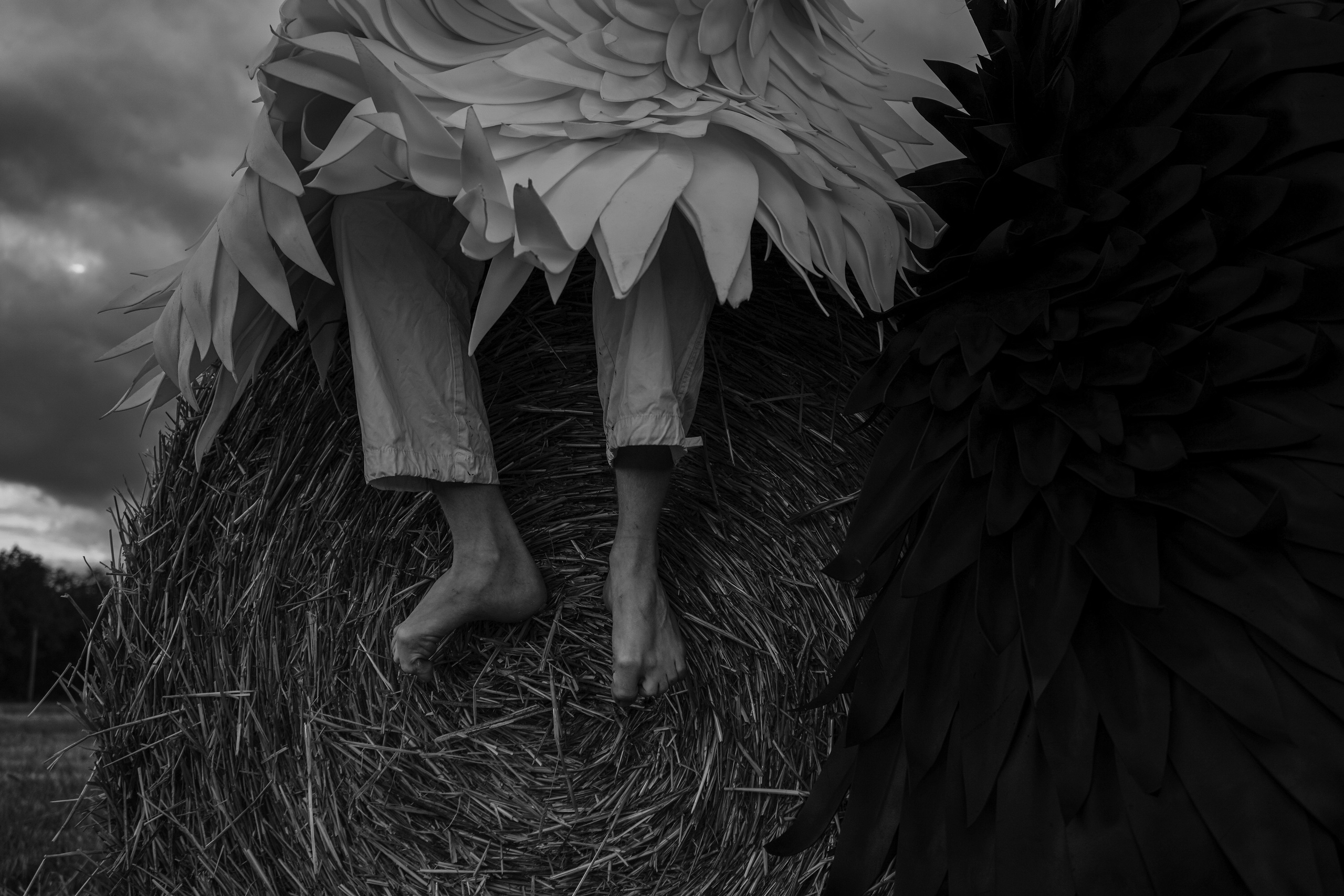 Данил и Анжелика. Фотограф в Сочи Марина Барс