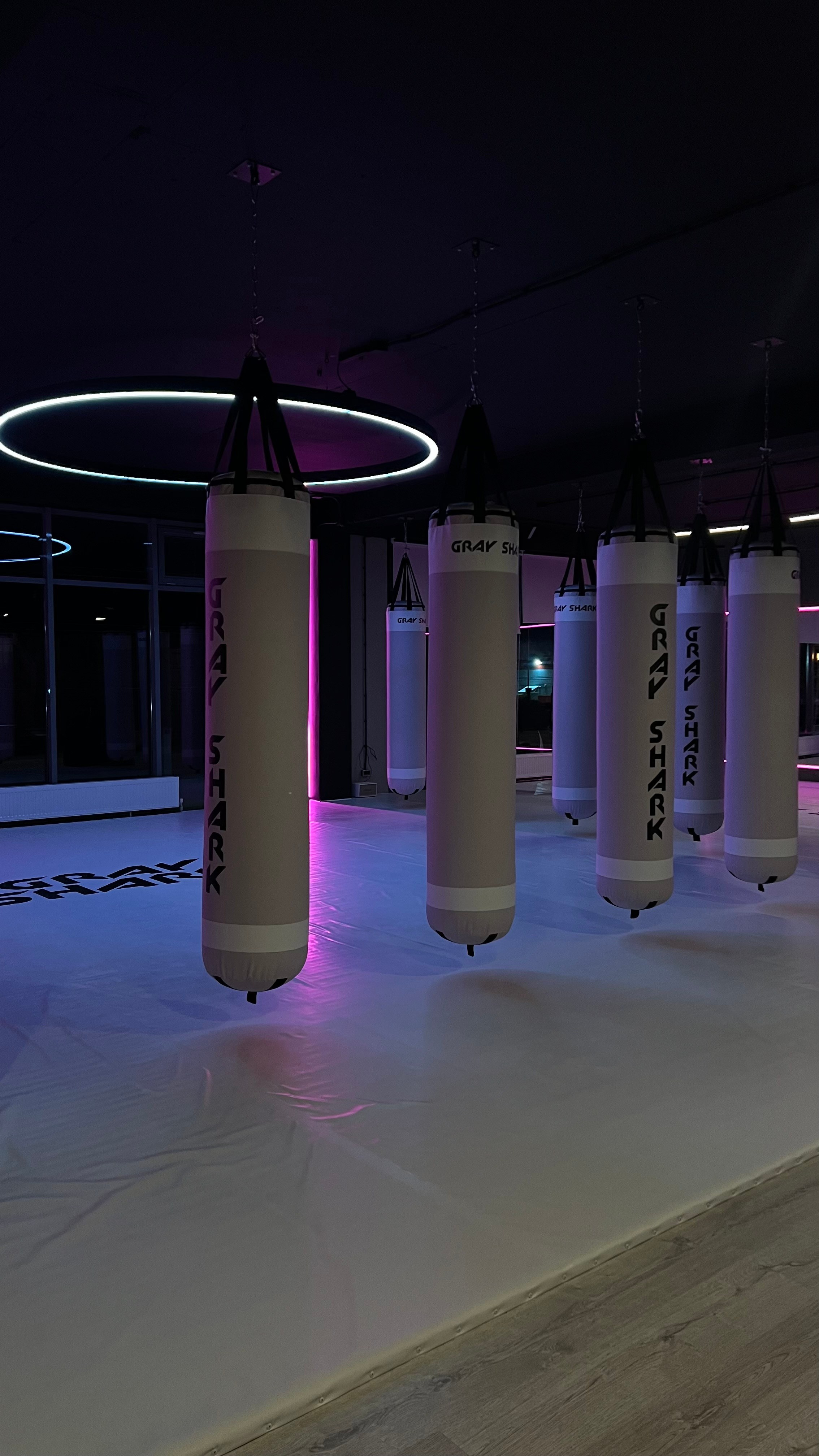 Тренировки по боксу для девушек и женщин — Gray Shark Studio